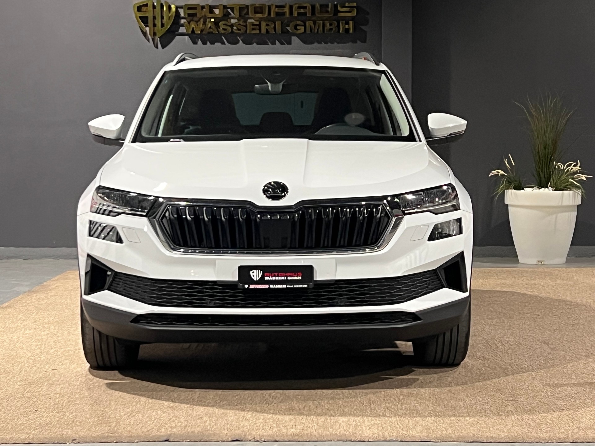 SKODA Karoq 1.5 TSI Ambition DSG-image-8