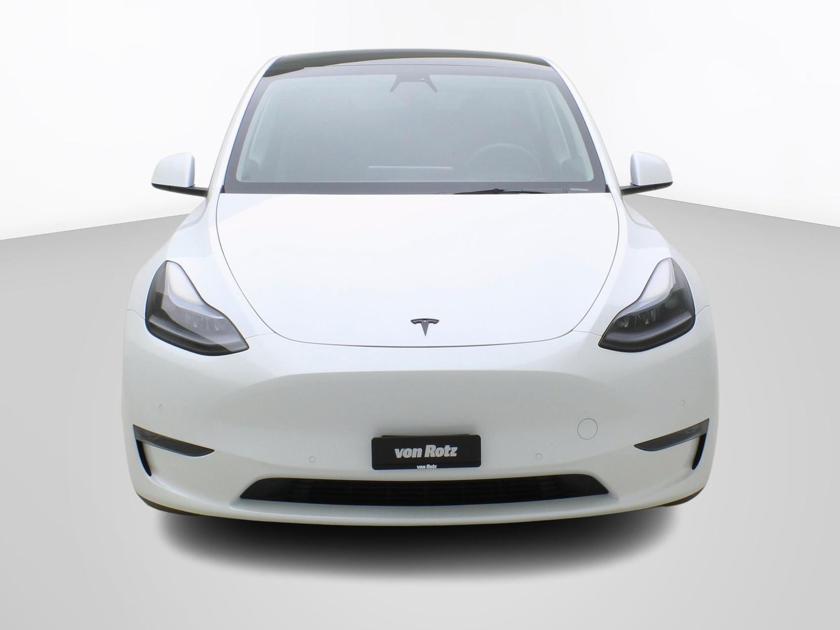 TESLA Model Y Long Range Dual AWD-image-5