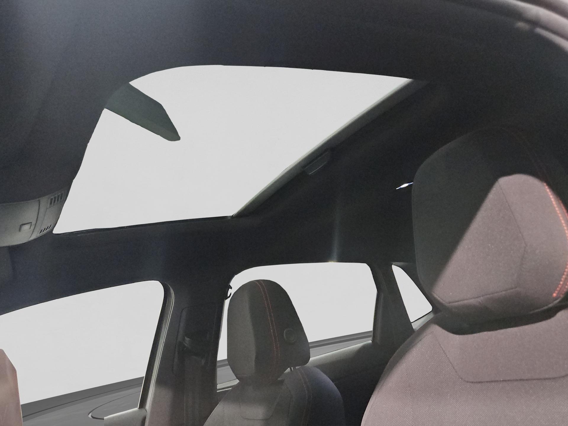 VW Polo 2.0 TSI GTI DSG-image-24