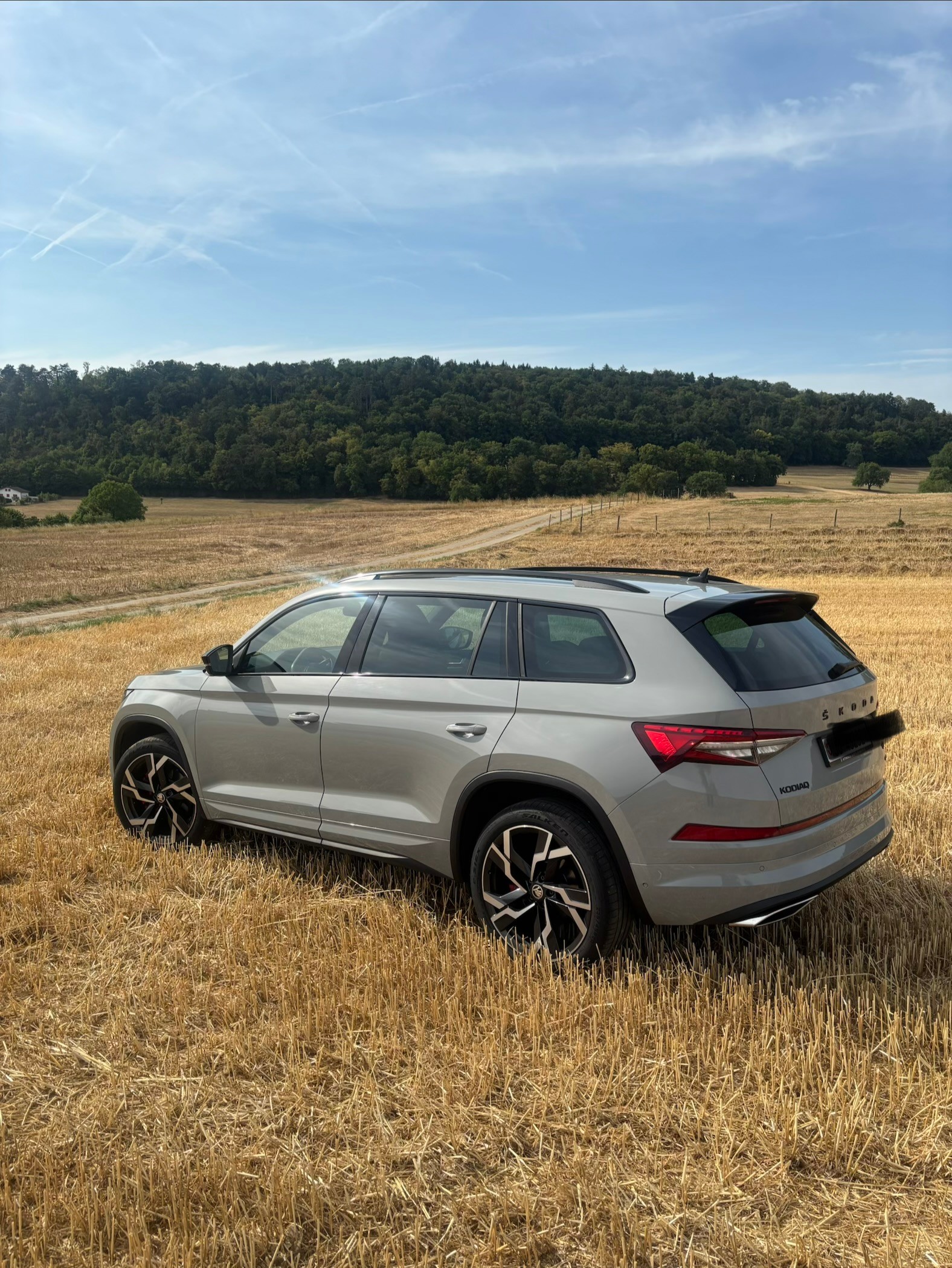 SKODA 2.0 TSI RS DSG-image-4