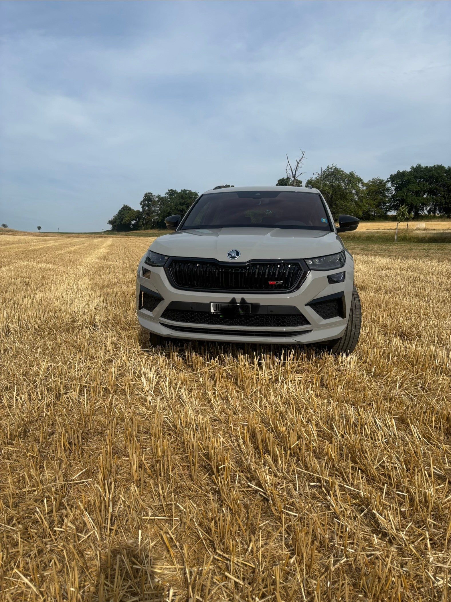 SKODA 2.0 TSI RS DSG-image-0
