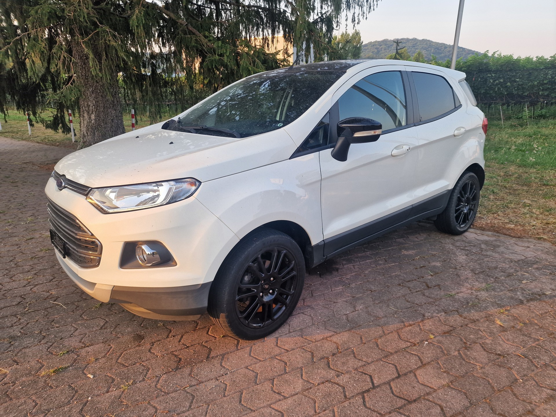 FORD EcoSport 1.0 SCTi Titanium S-image-3