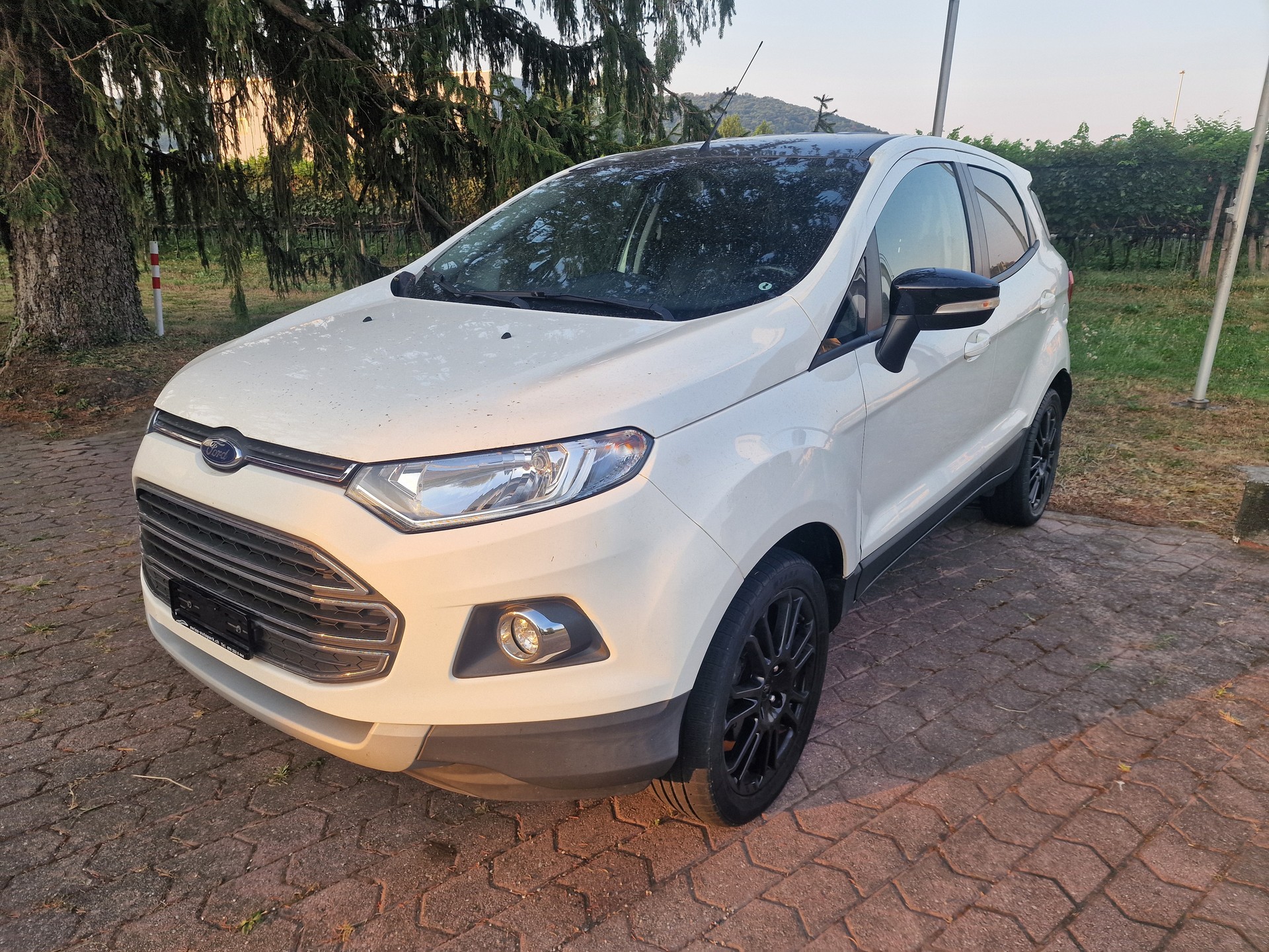 FORD EcoSport 1.0 SCTi Titanium S-image-1