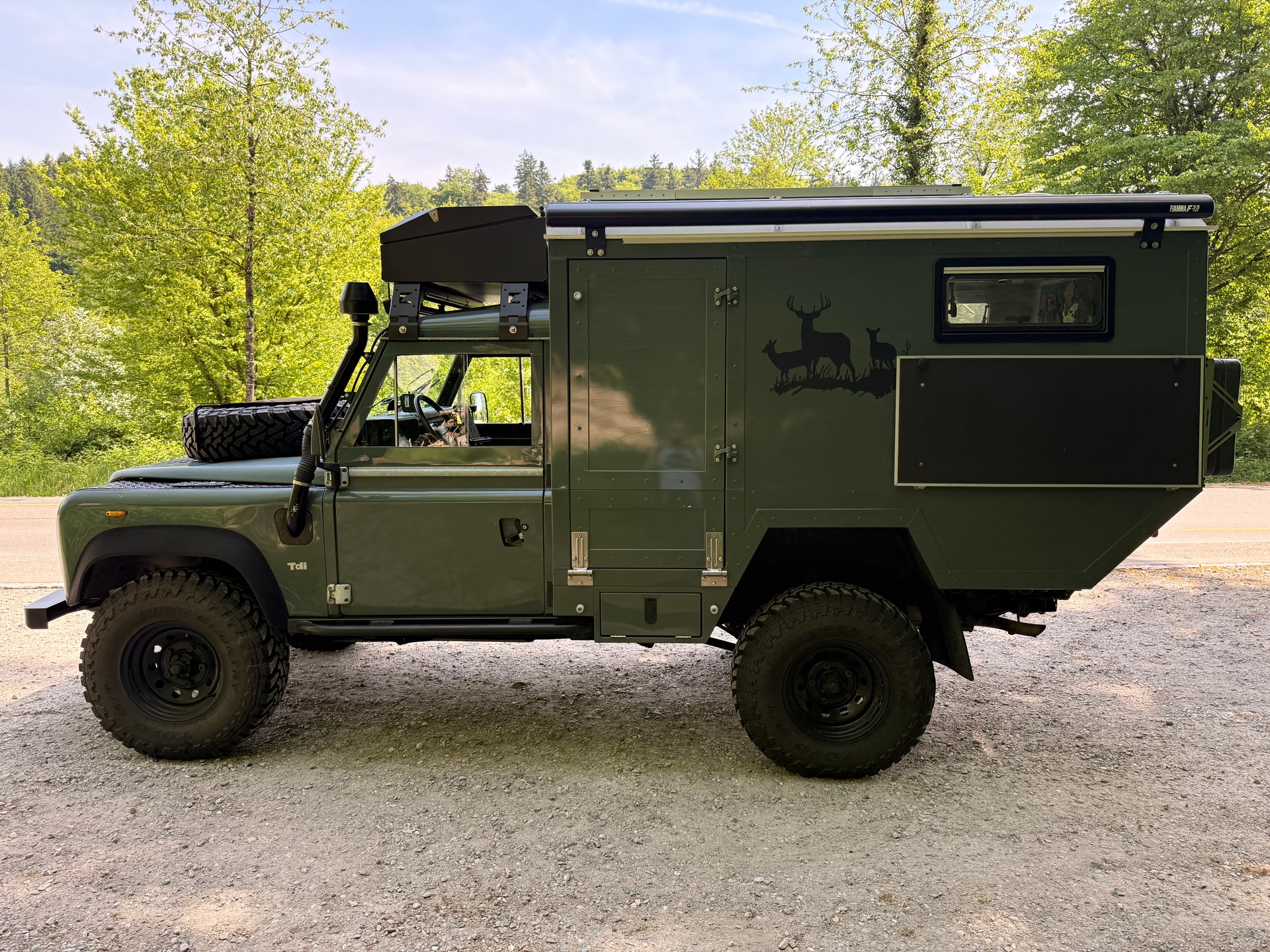 LAND ROVER 200Tdi Defender Weltreisefahrzeug-image-3