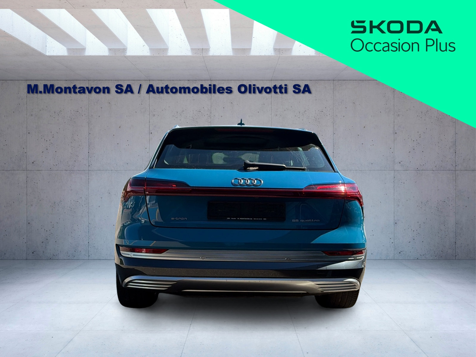 AUDI e-tron 55 Advanced quattro-image-7