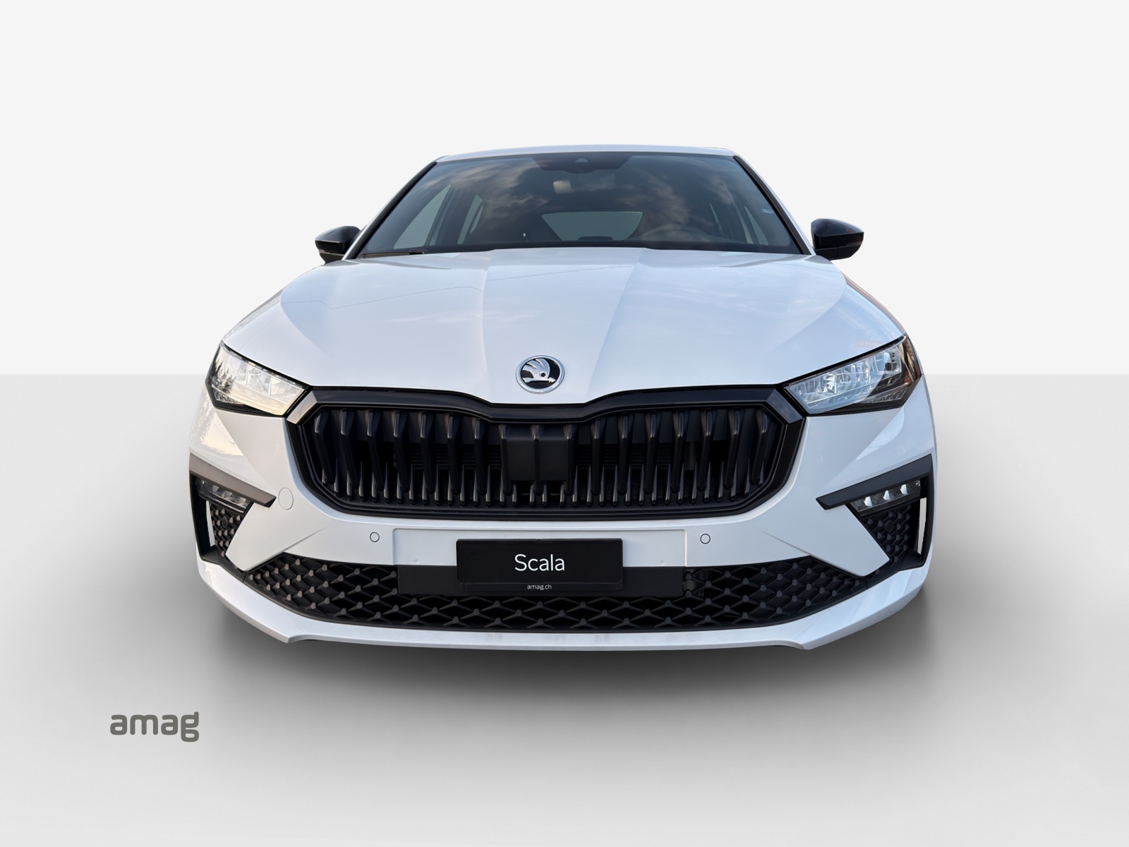 SKODA Scala 1.5 TSI Dynamic DSG-image-6