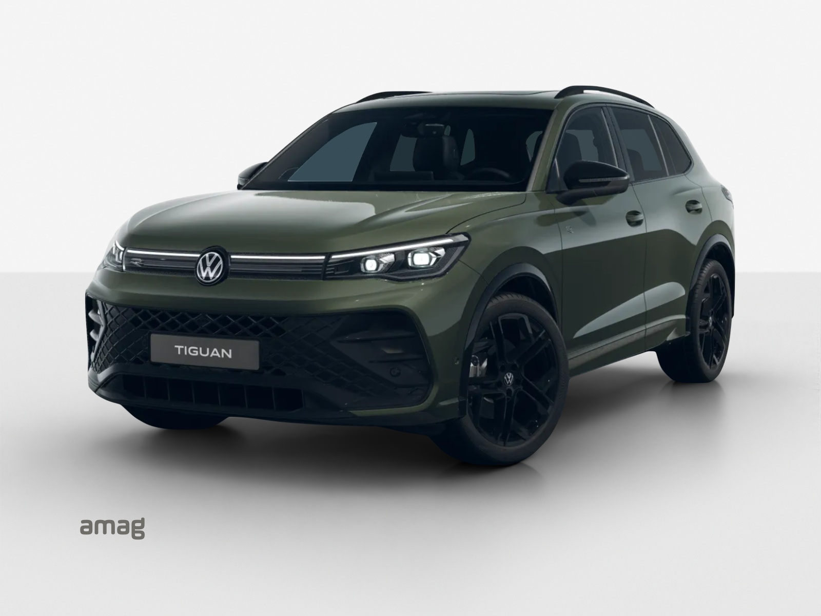 VW Tiguan 2.0 TSI DSG R-Line 4Motion