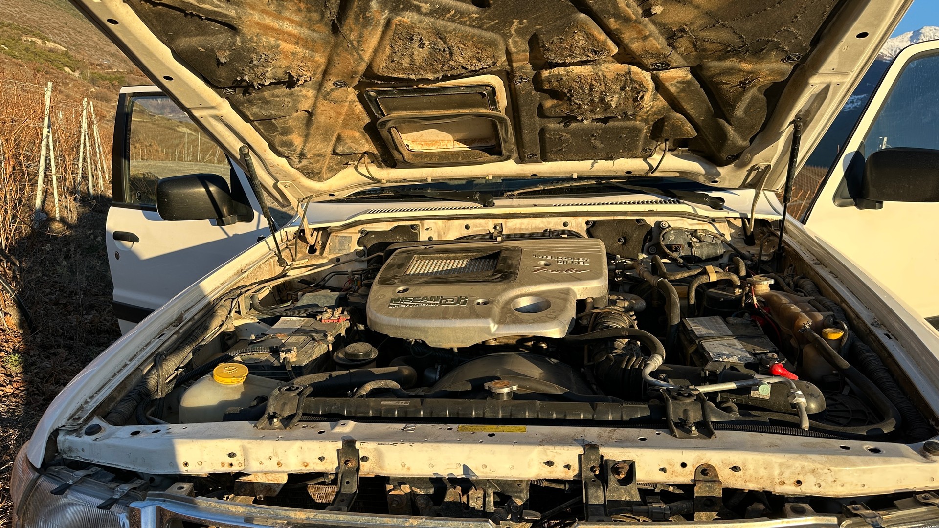 NISSAN 3.0 Di-image-5