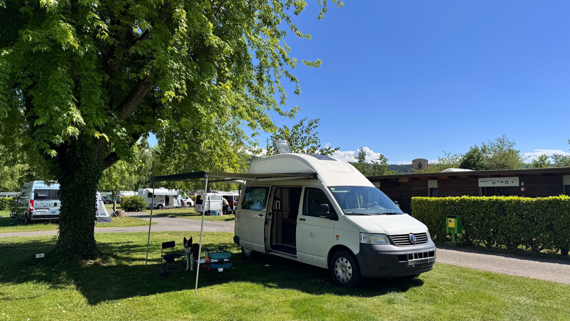 VW T5-image-1