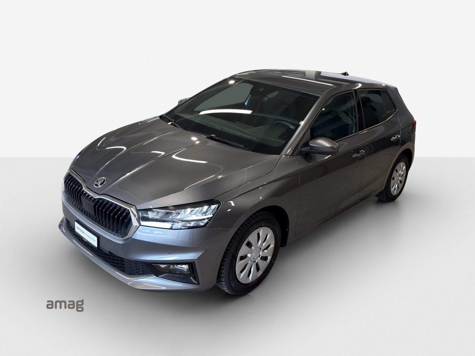 SKODA Fabia 1.0 TSI Dynamic DSG-image-13