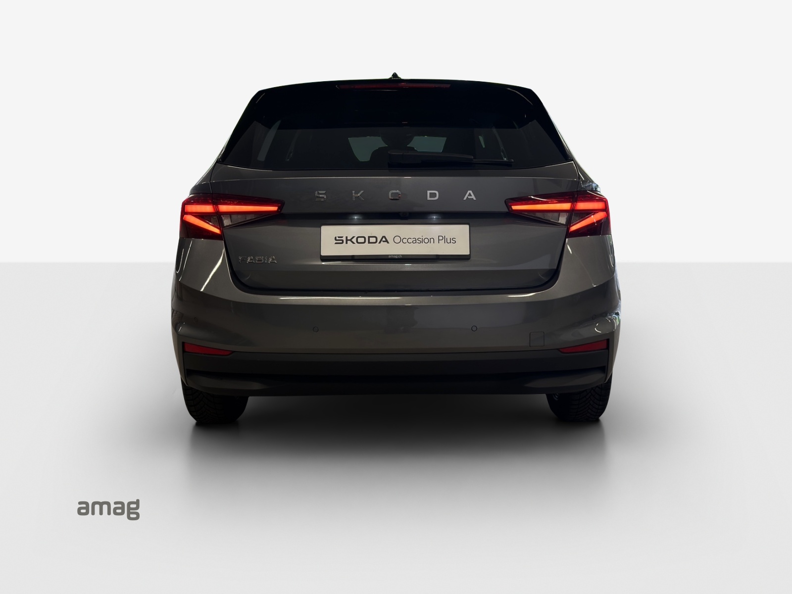 SKODA Fabia 1.0 TSI Dynamic DSG-image-3
