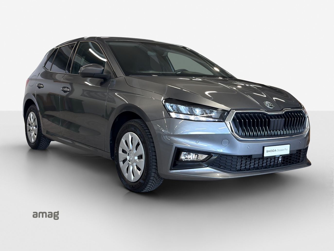 SKODA Fabia 1.0 TSI Dynamic DSG-image-5