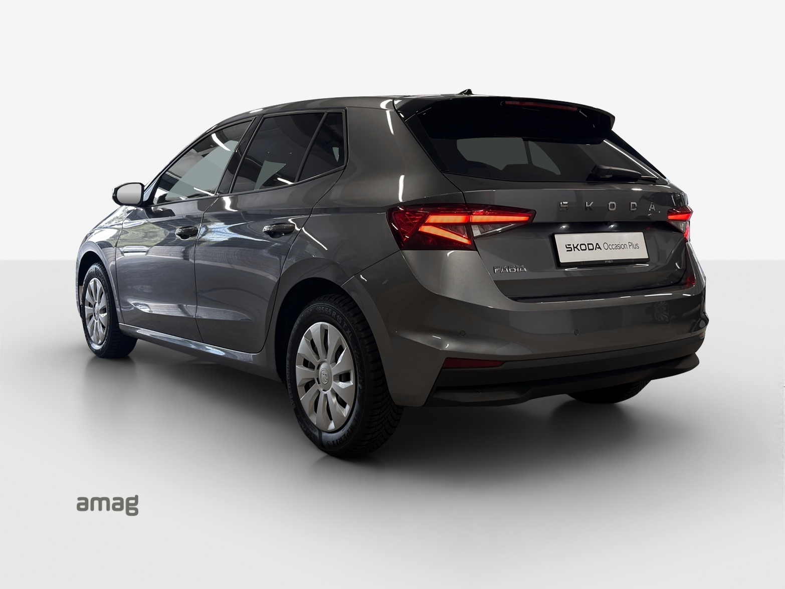 SKODA Fabia 1.0 TSI Dynamic DSG-image-2