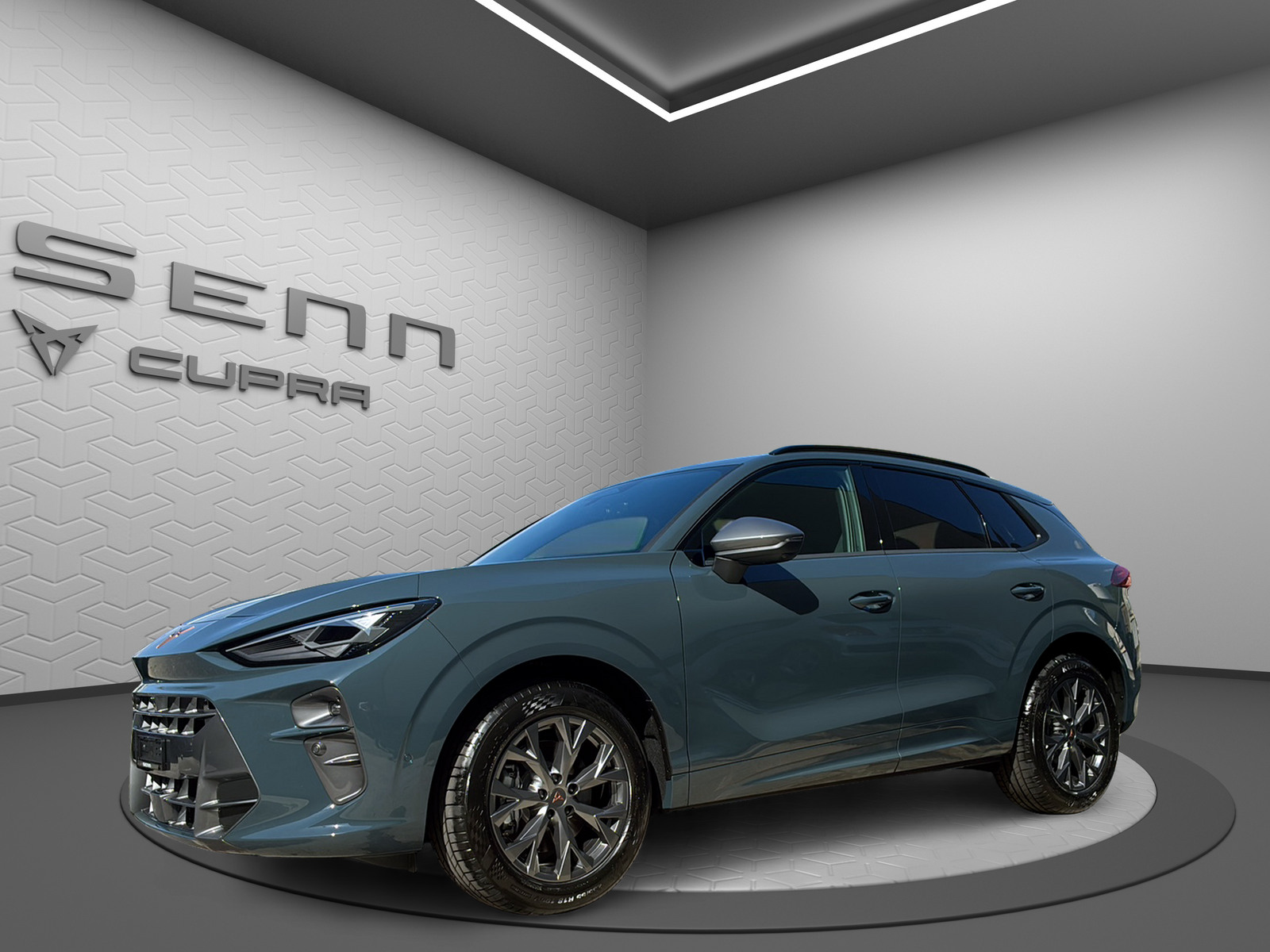 CUPRA Terramar 2.0 TSI DSG 4Drive-image-1