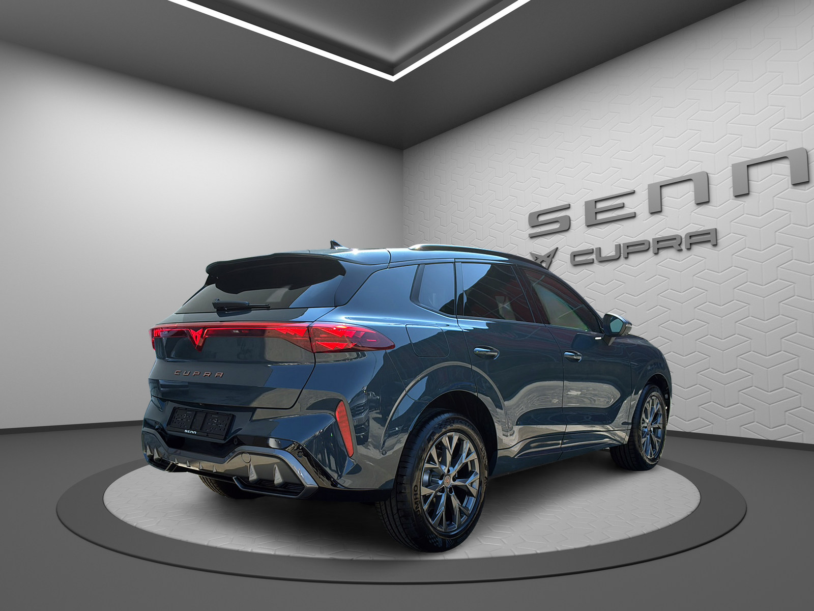 CUPRA Terramar 2.0 TSI DSG 4Drive-image-2