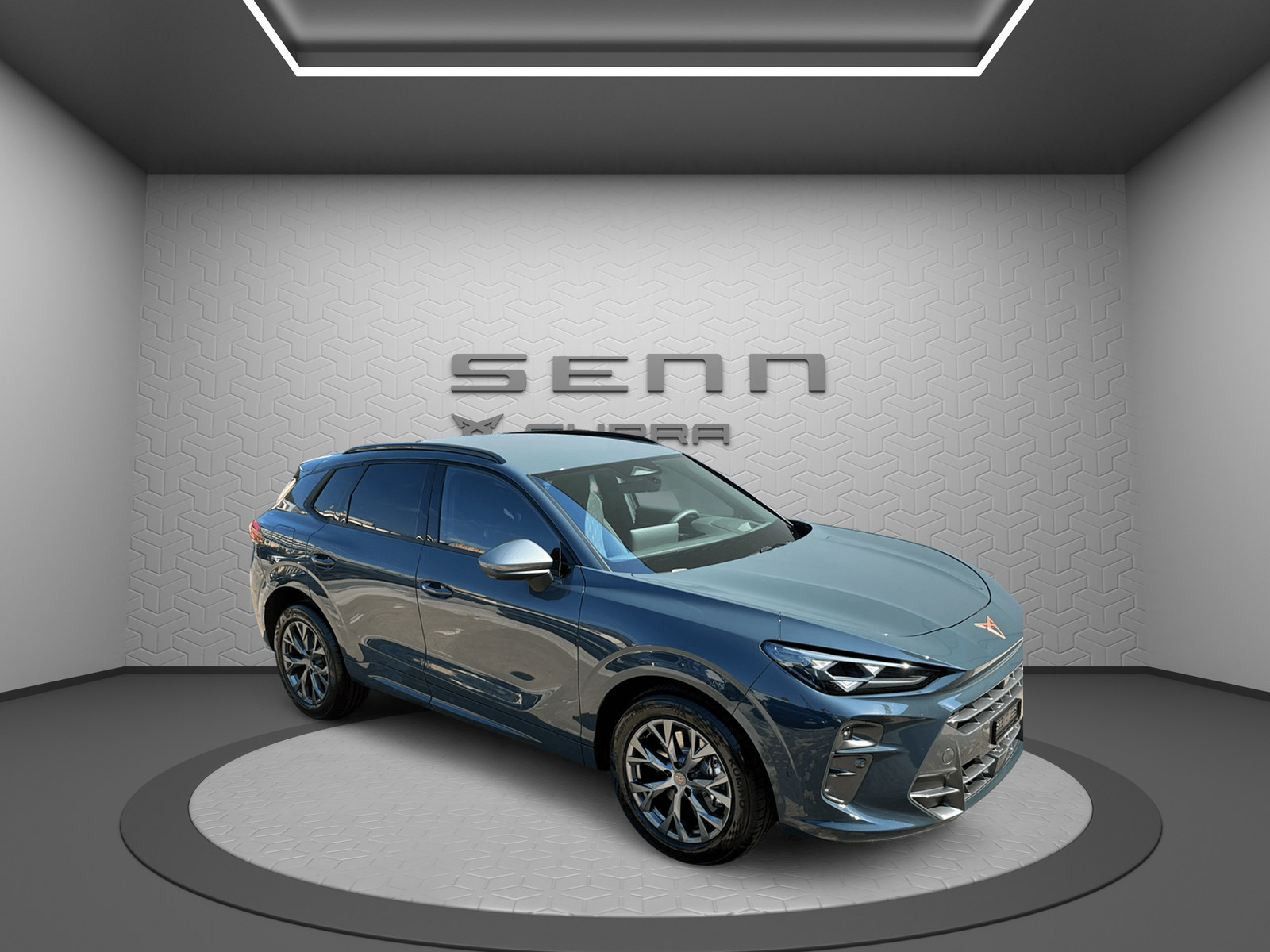 CUPRA Terramar 2.0 TSI DSG 4Drive-image-11