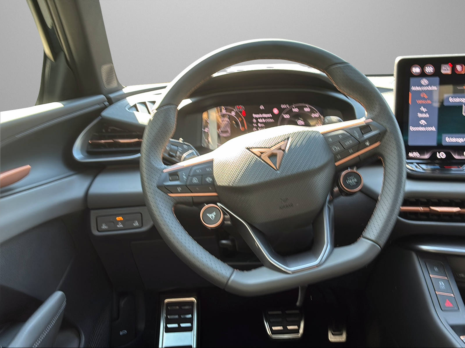 CUPRA Terramar 2.0 TSI DSG 4Drive-image-6