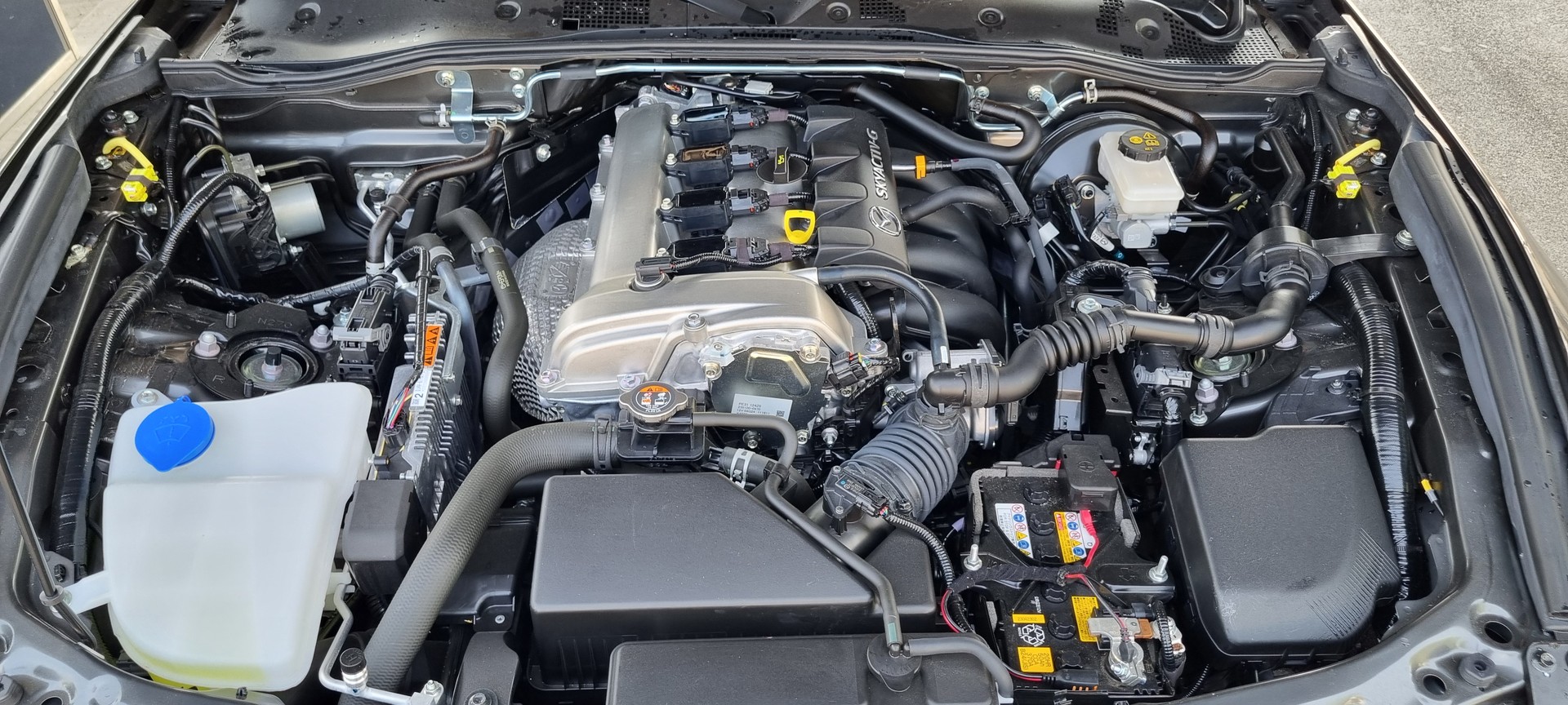 MAZDA 2.0 Kazari-image-8