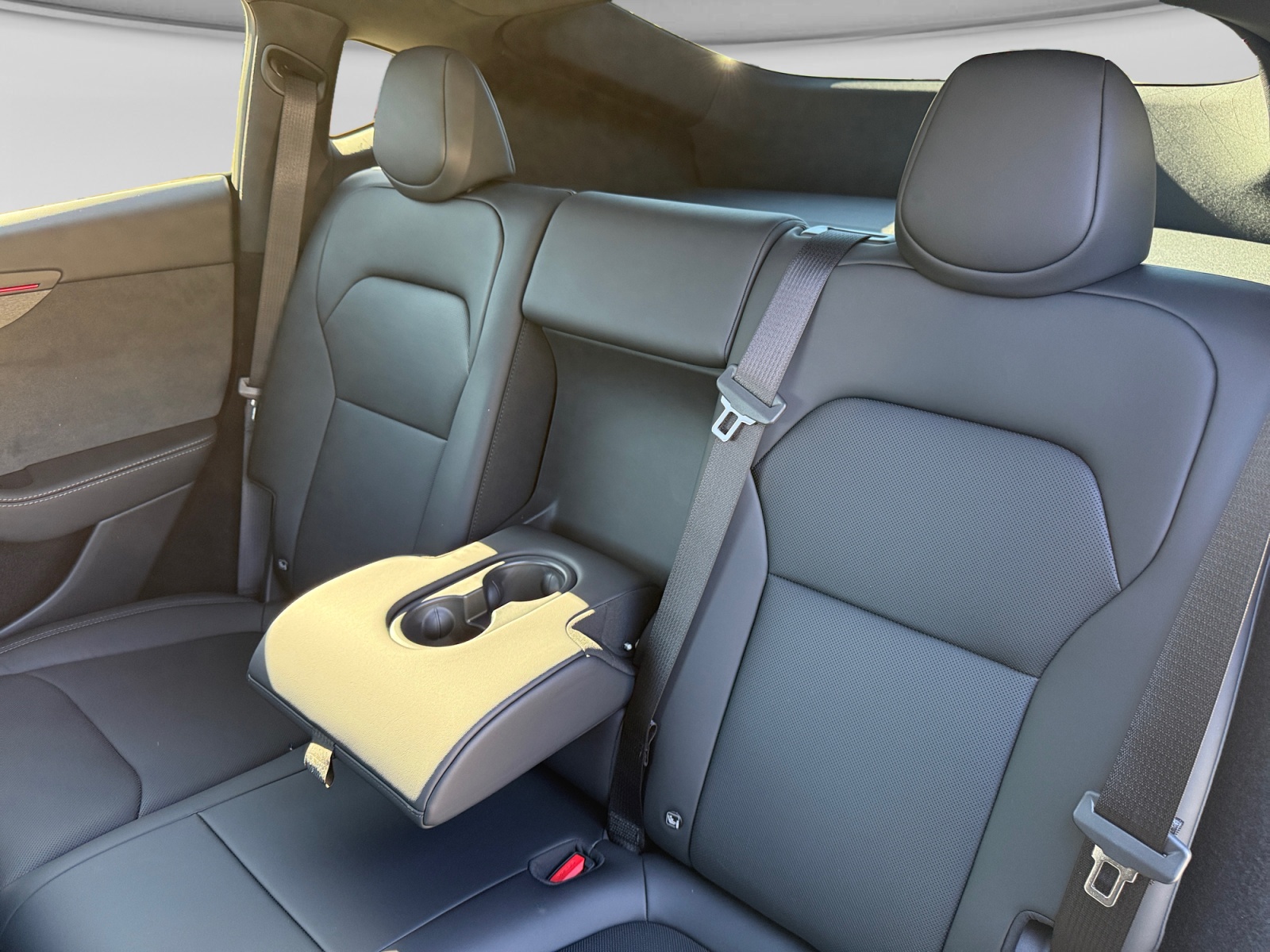 TESLA Model Y Premium Long Range AWD + AHK-image-14