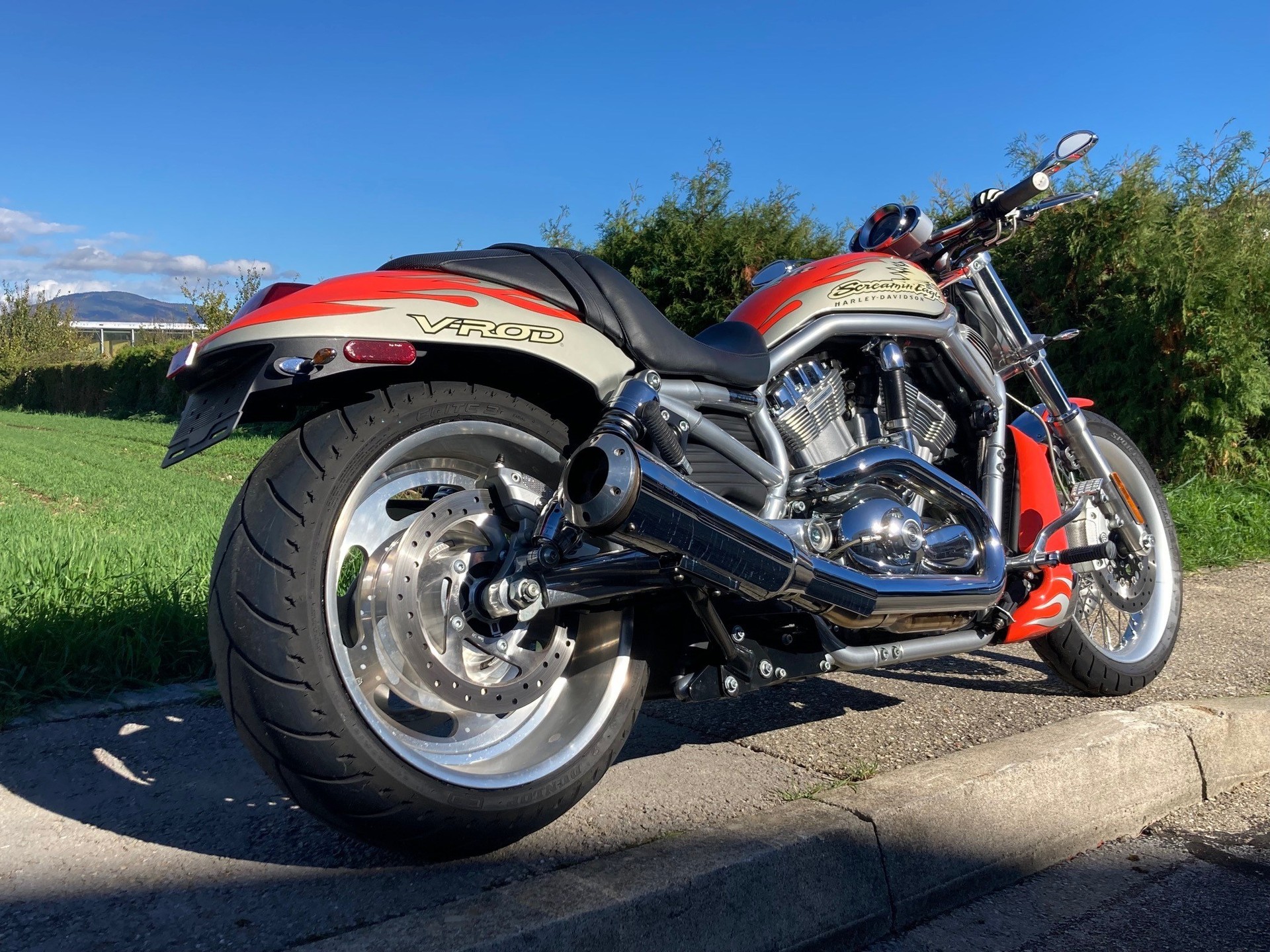 HARLEY-DAVIDSON VRSCDX Night Rod Special-image-2