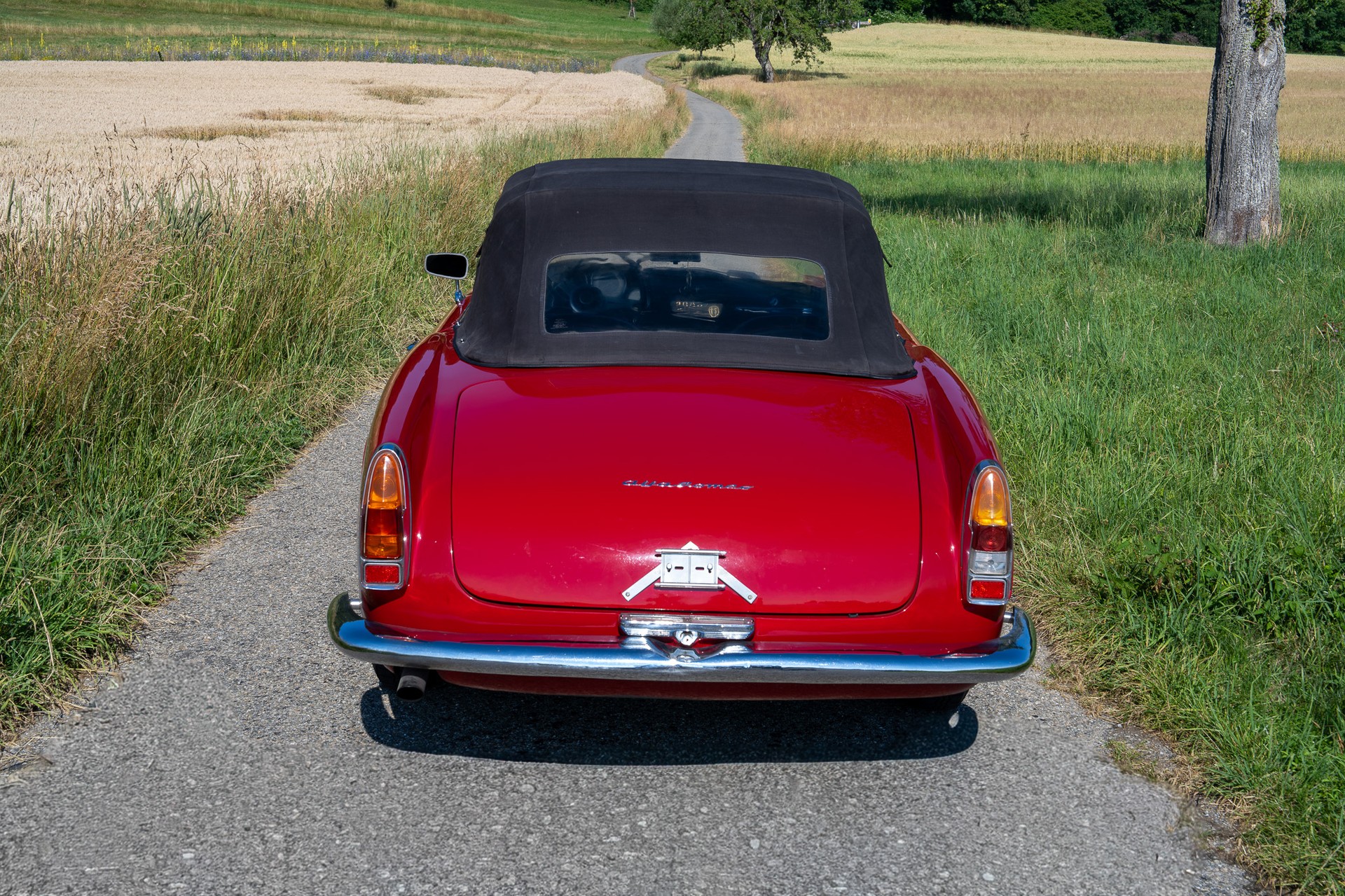 ALFA ROMEO 2000 Touring Spider-image-5