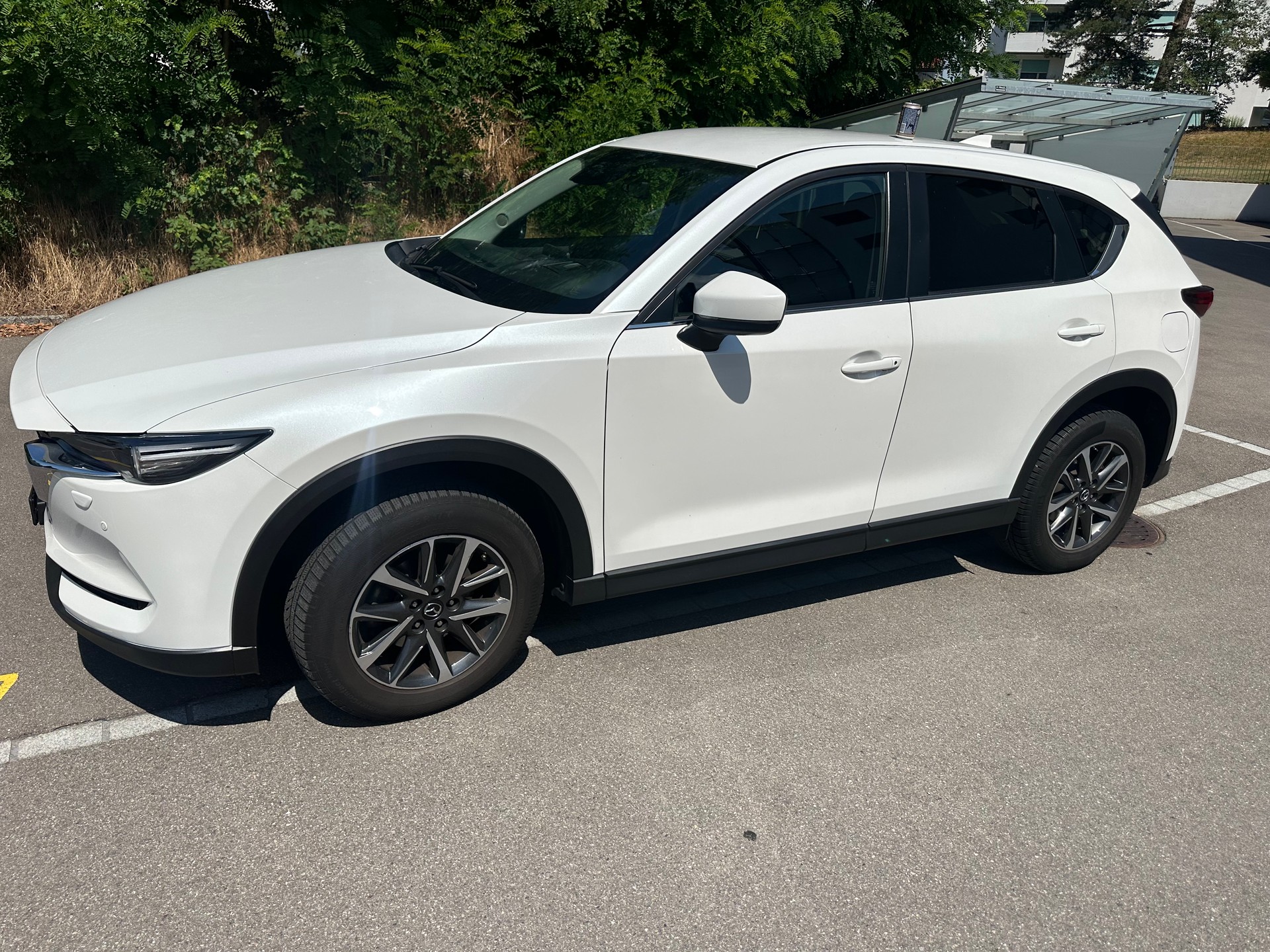 MAZDA 2.0 Revolution AWD-image-0