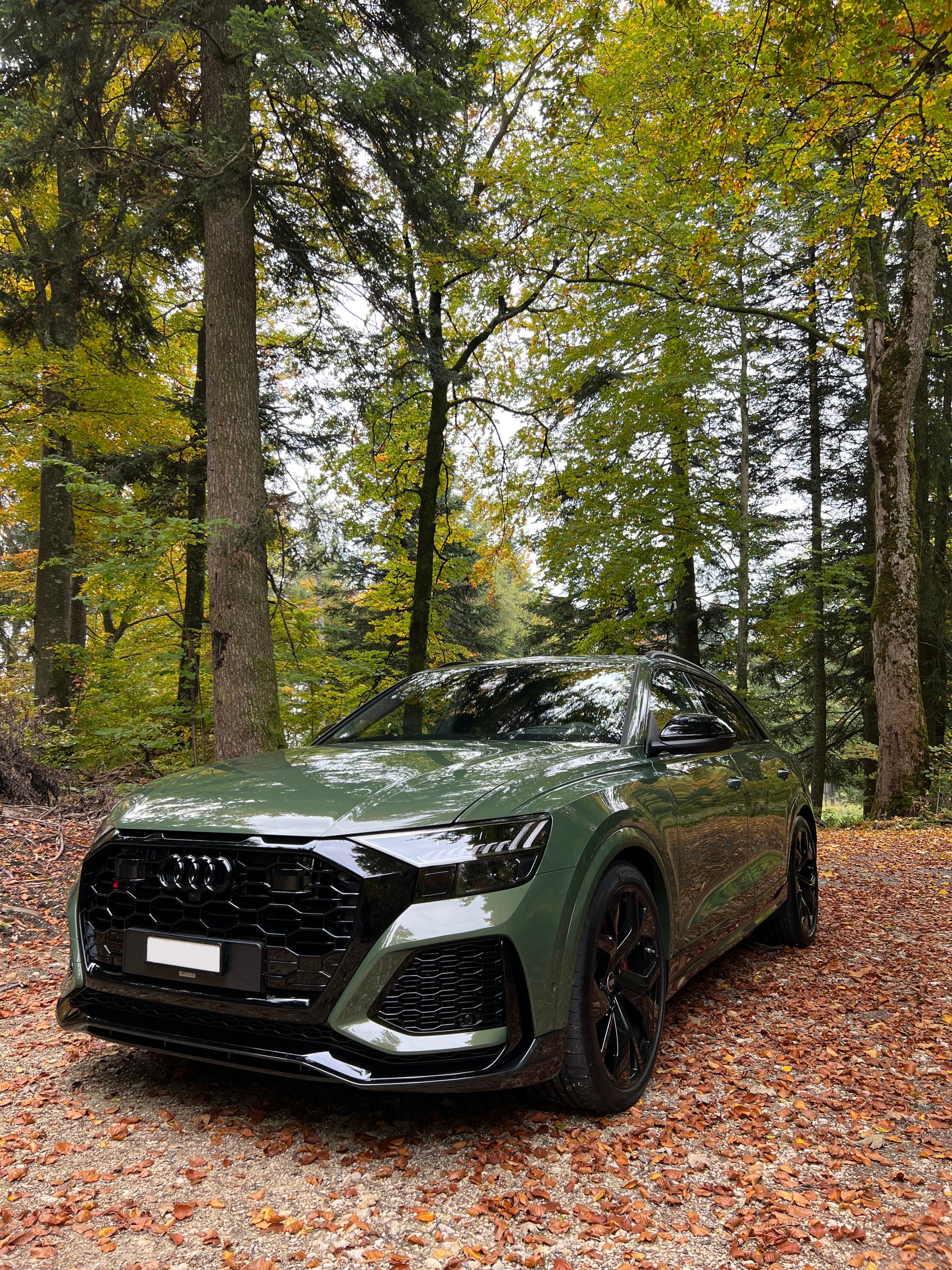 AUDI 4.0 V8 TFSI quattro T-Tronic-image-1