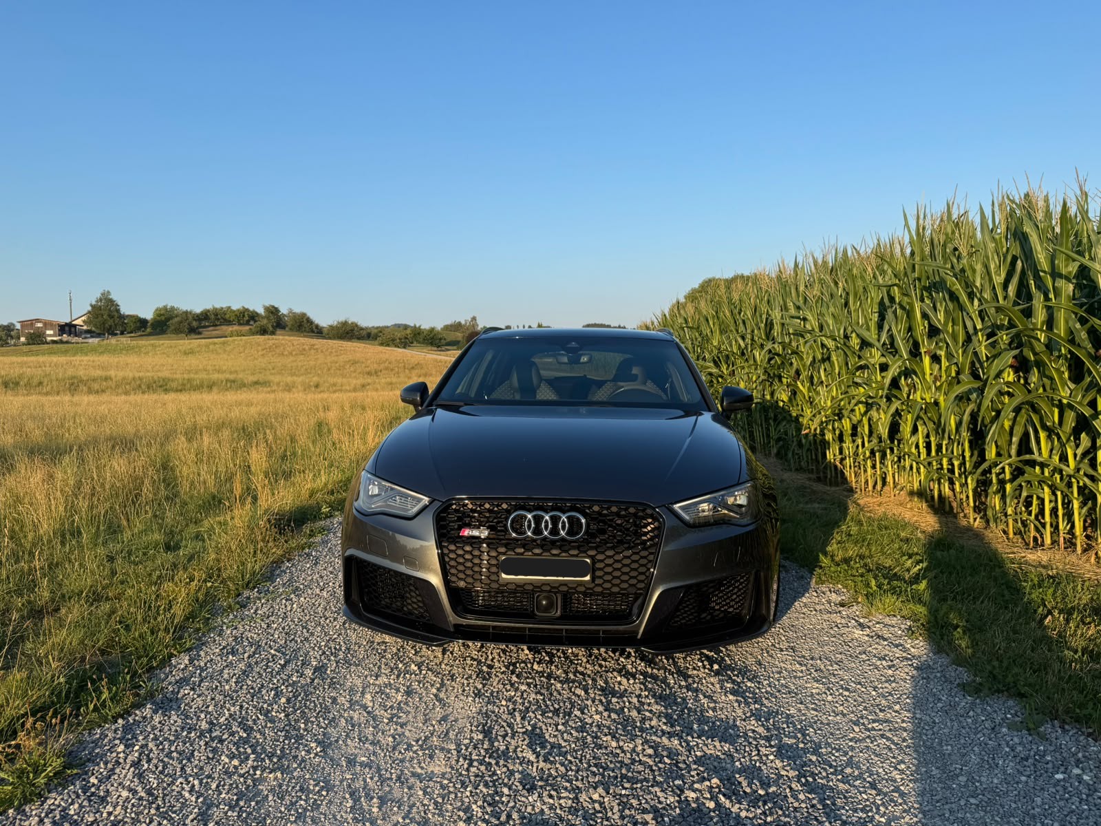 AUDI RS3 2.5 TFSI quattro S-Tronic-image-1