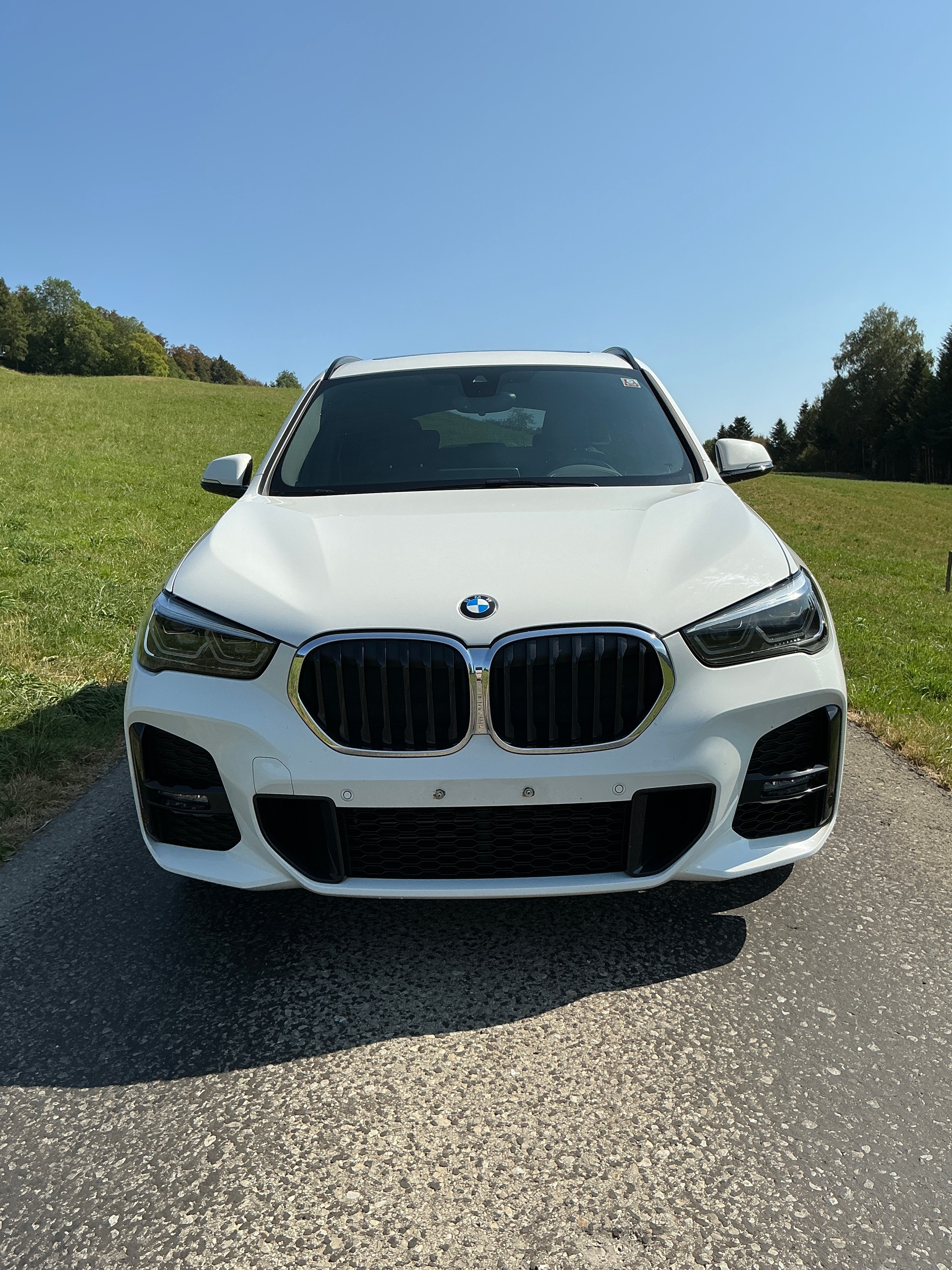 BMW X1 xDrive 25i M Sport Steptronic-image-4