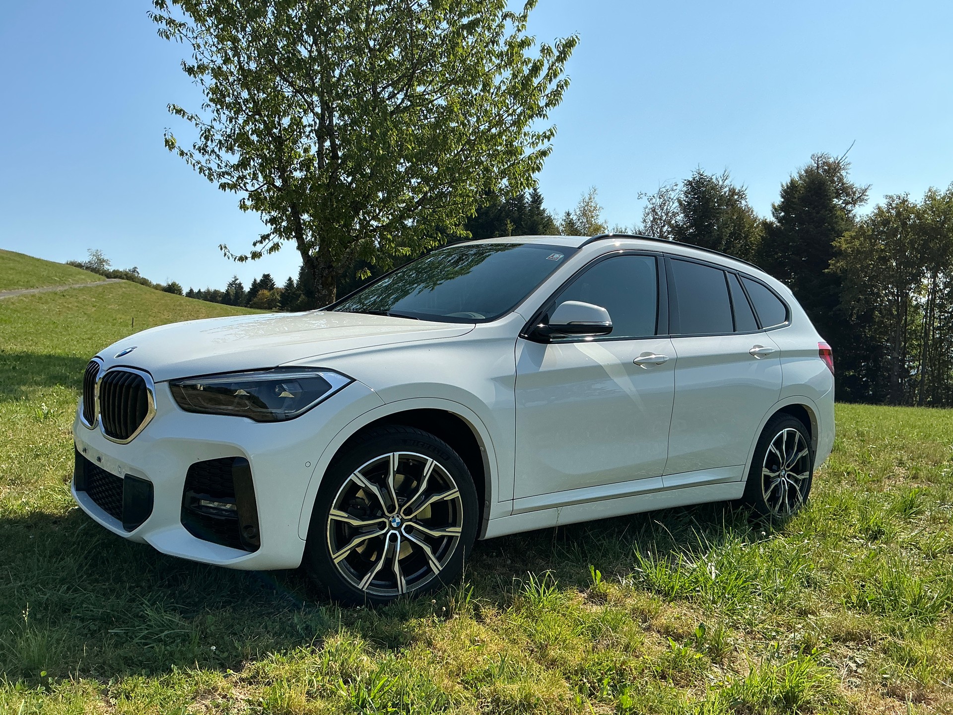 BMW X1 xDrive 25i M Sport Steptronic-image-1