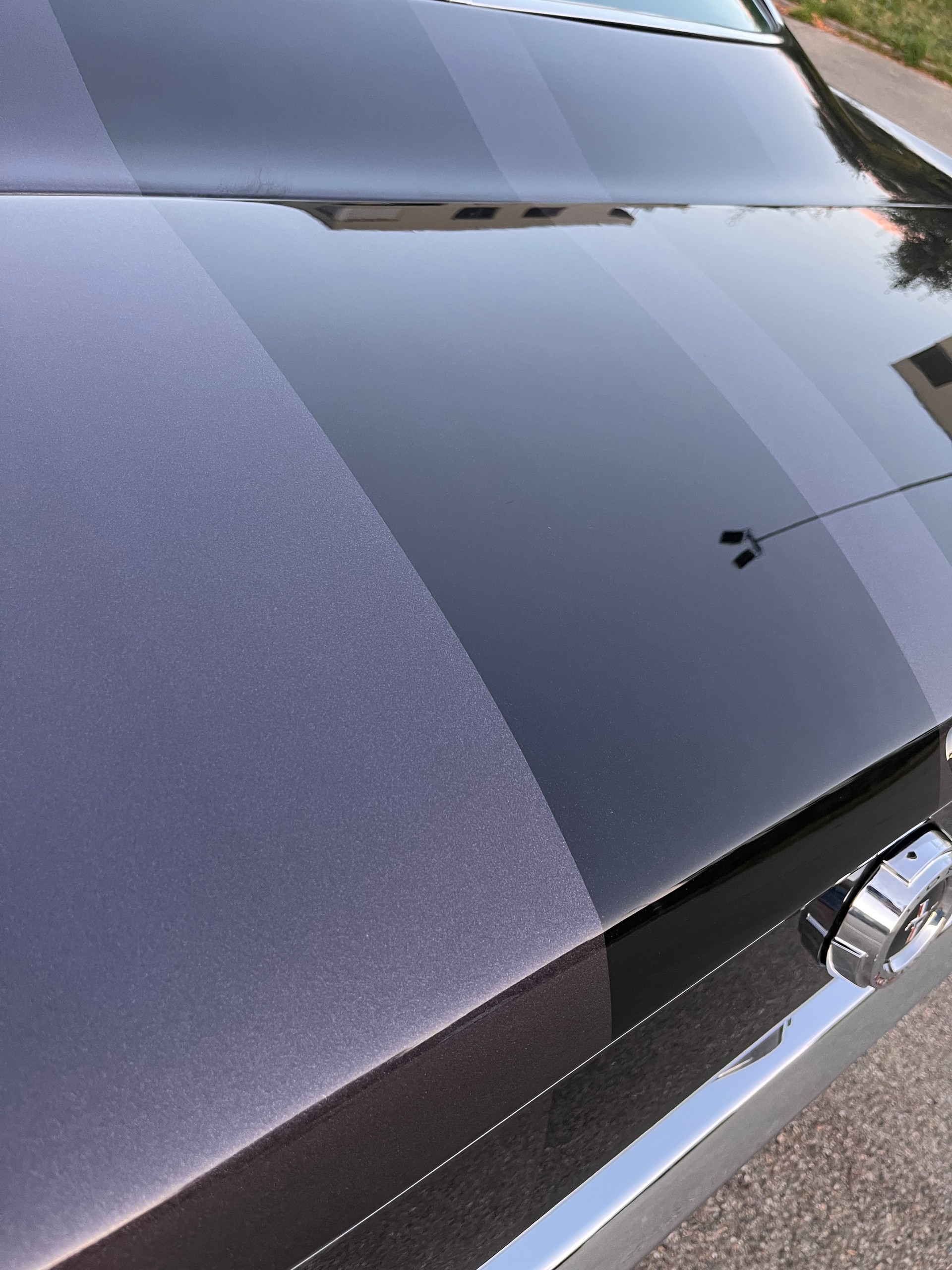 FORD MUSTANG-image-4