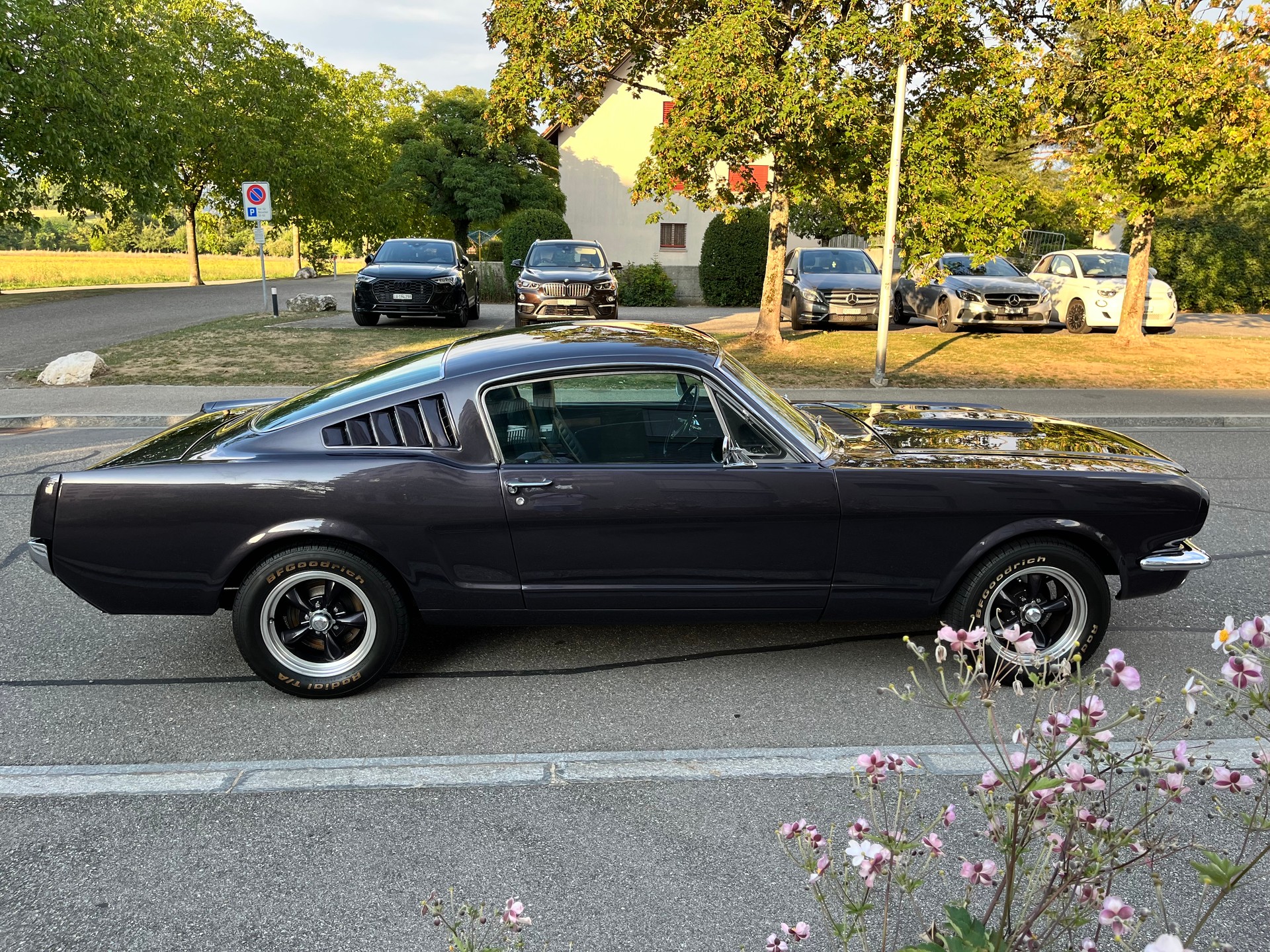 FORD MUSTANG-image-8