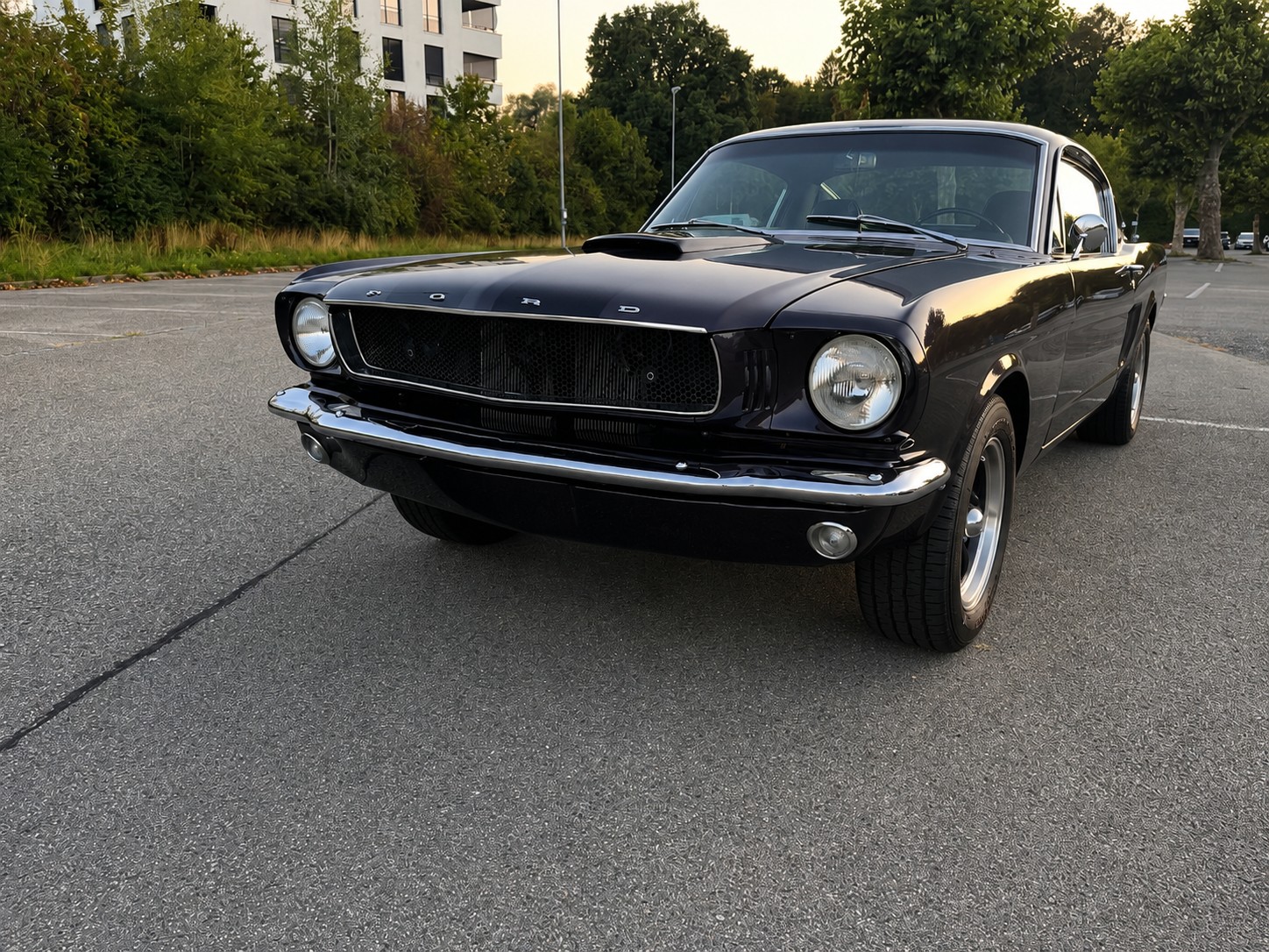 FORD MUSTANG