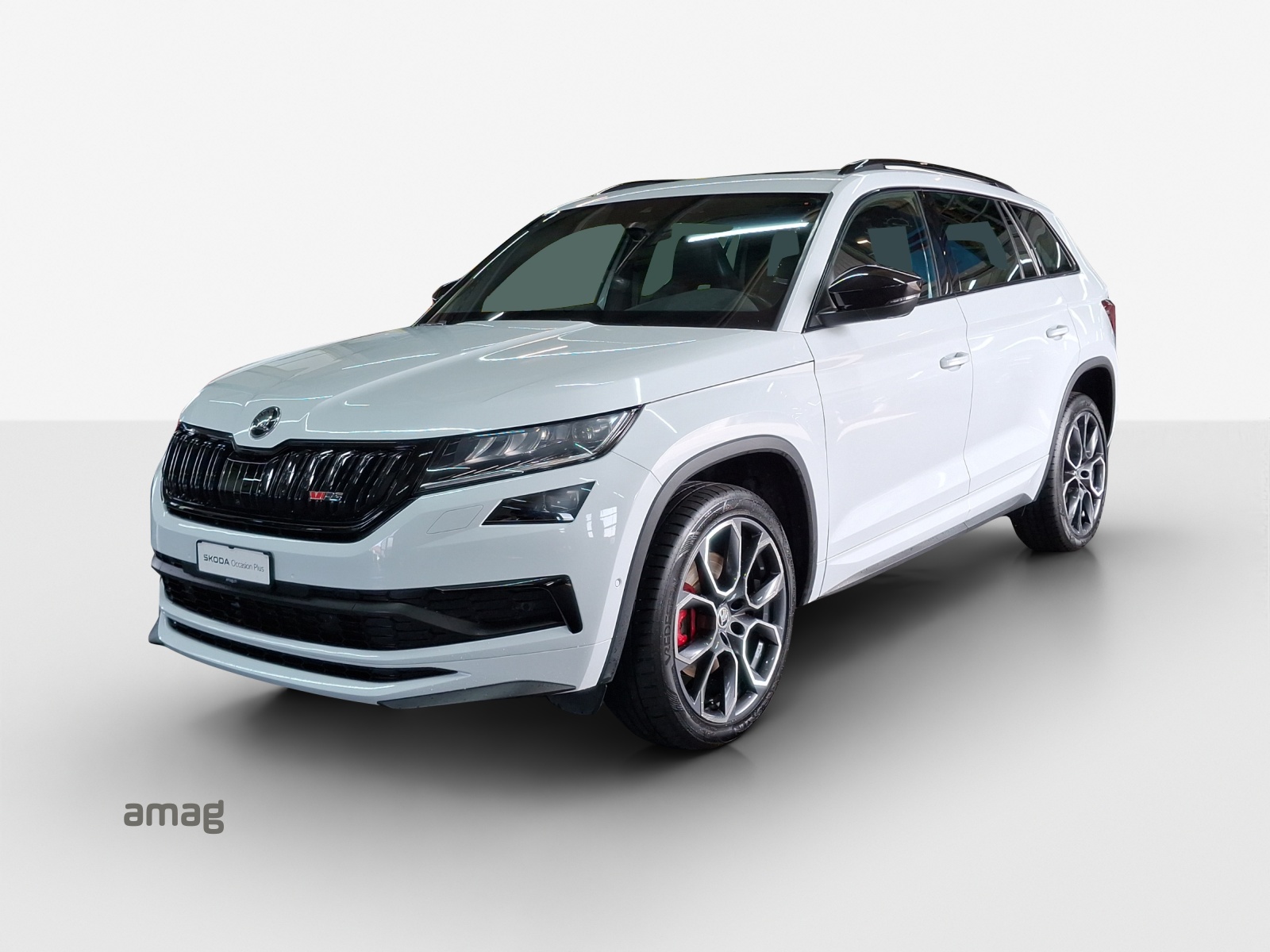 SKODA Kodiaq 2.0 Bi-TDI SCR RS 4x4 DSG-image-0