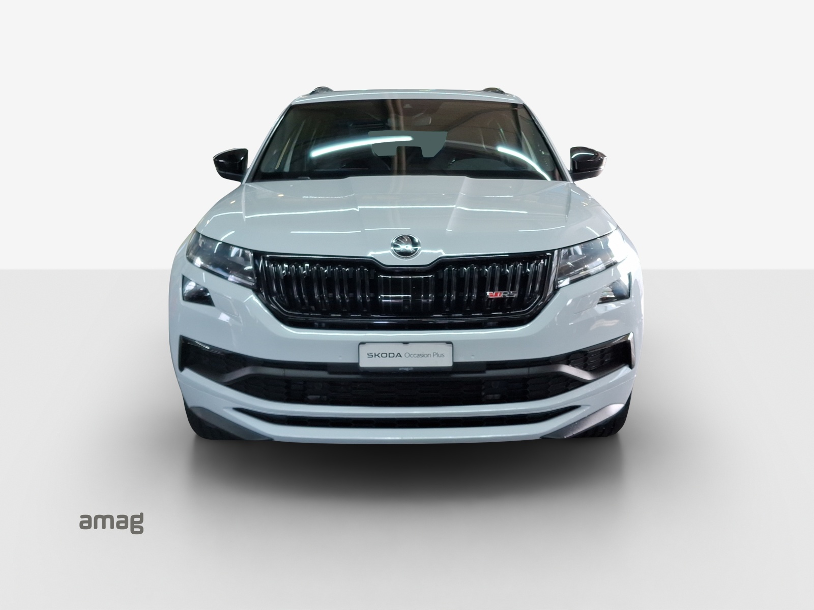 SKODA Kodiaq 2.0 Bi-TDI SCR RS 4x4 DSG-image-6