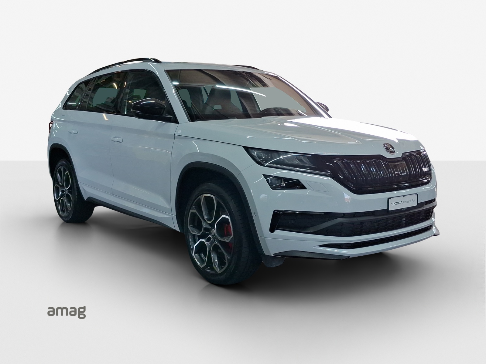 SKODA Kodiaq 2.0 Bi-TDI SCR RS 4x4 DSG-image-5
