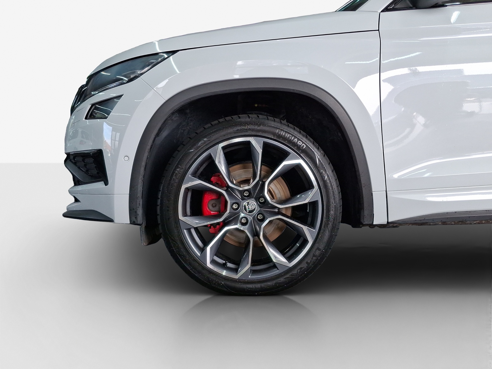 SKODA Kodiaq 2.0 Bi-TDI SCR RS 4x4 DSG-image-14