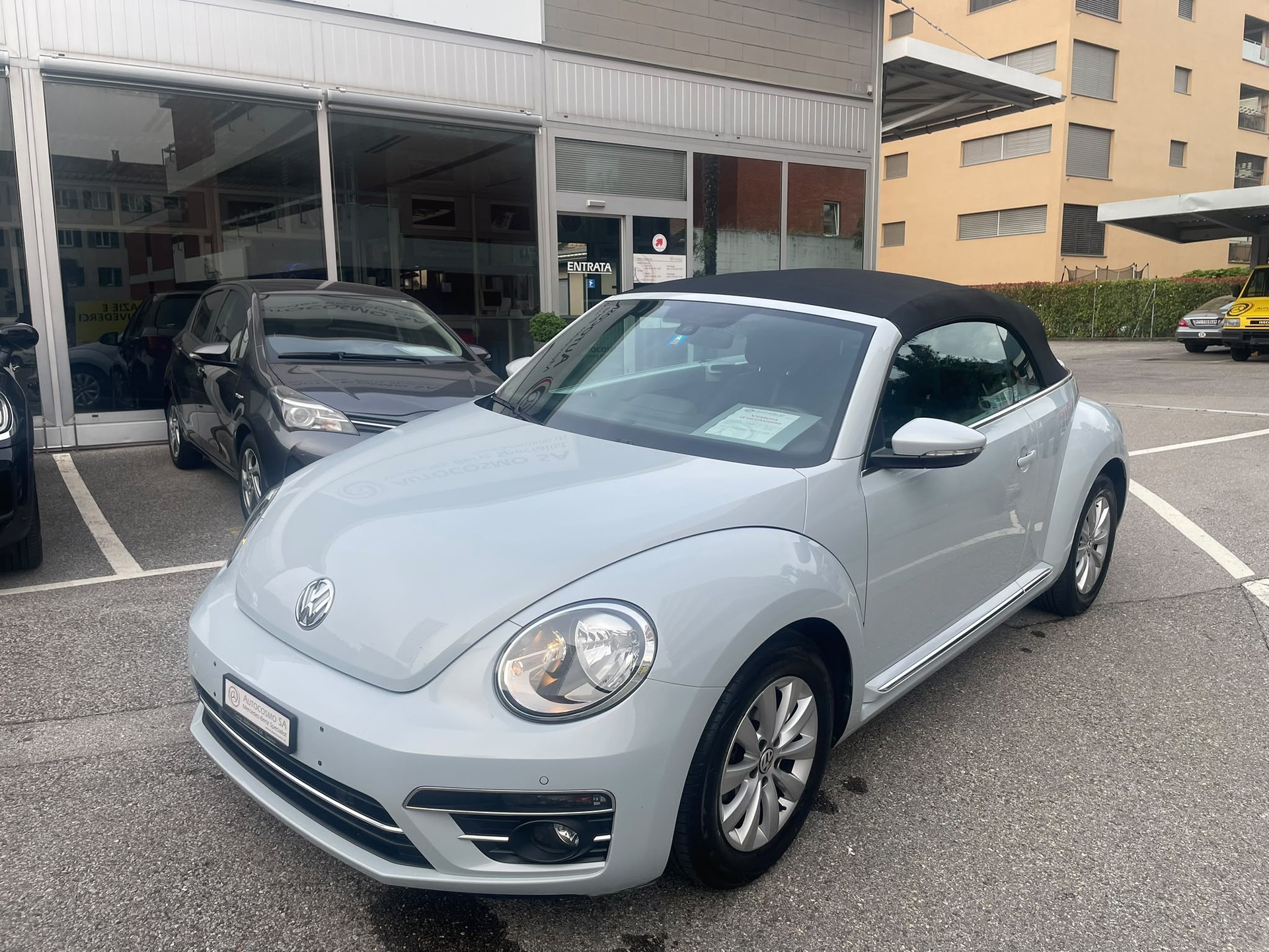 VW BEETLE-image-2
