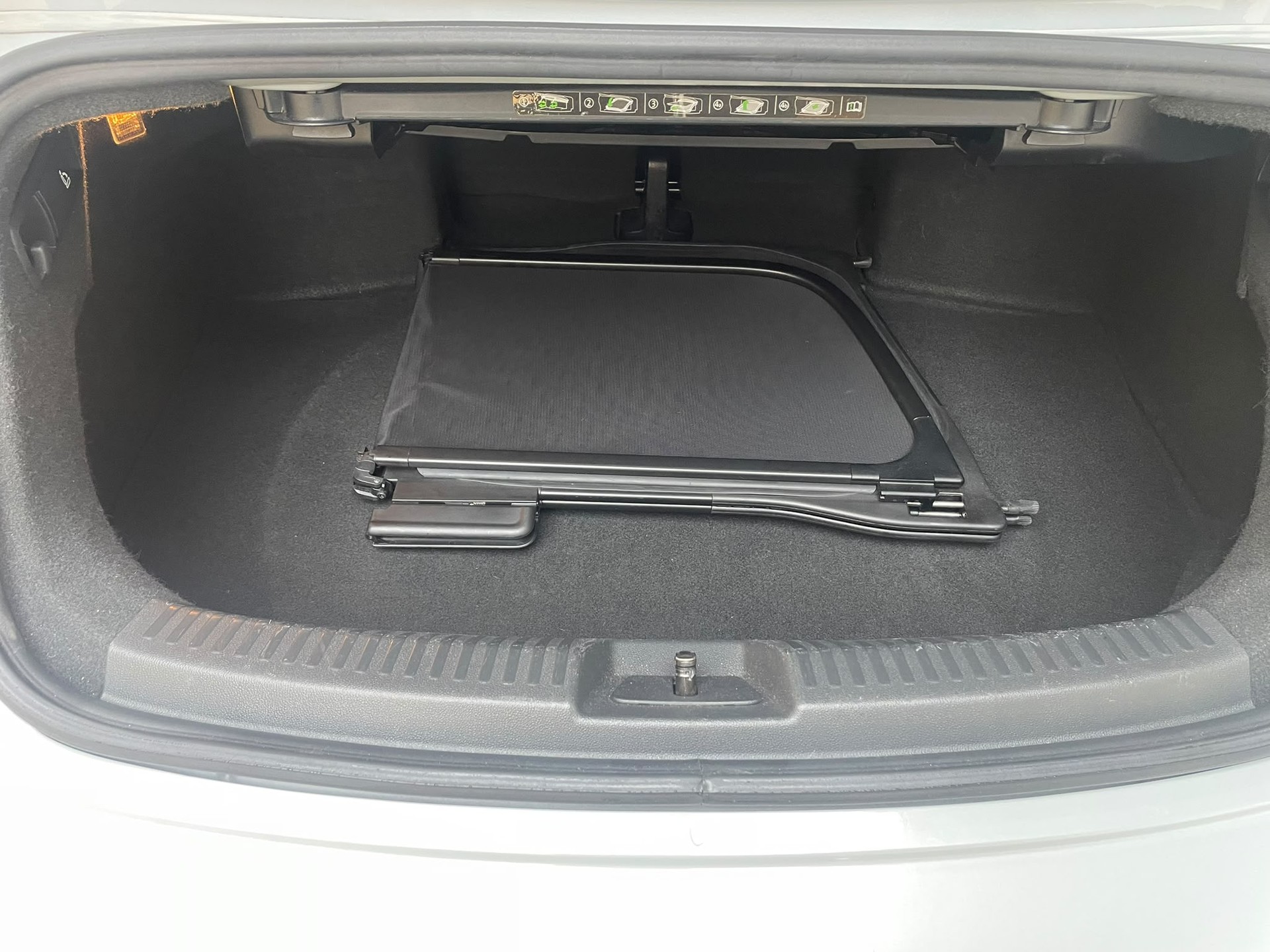 VW BEETLE-image-11