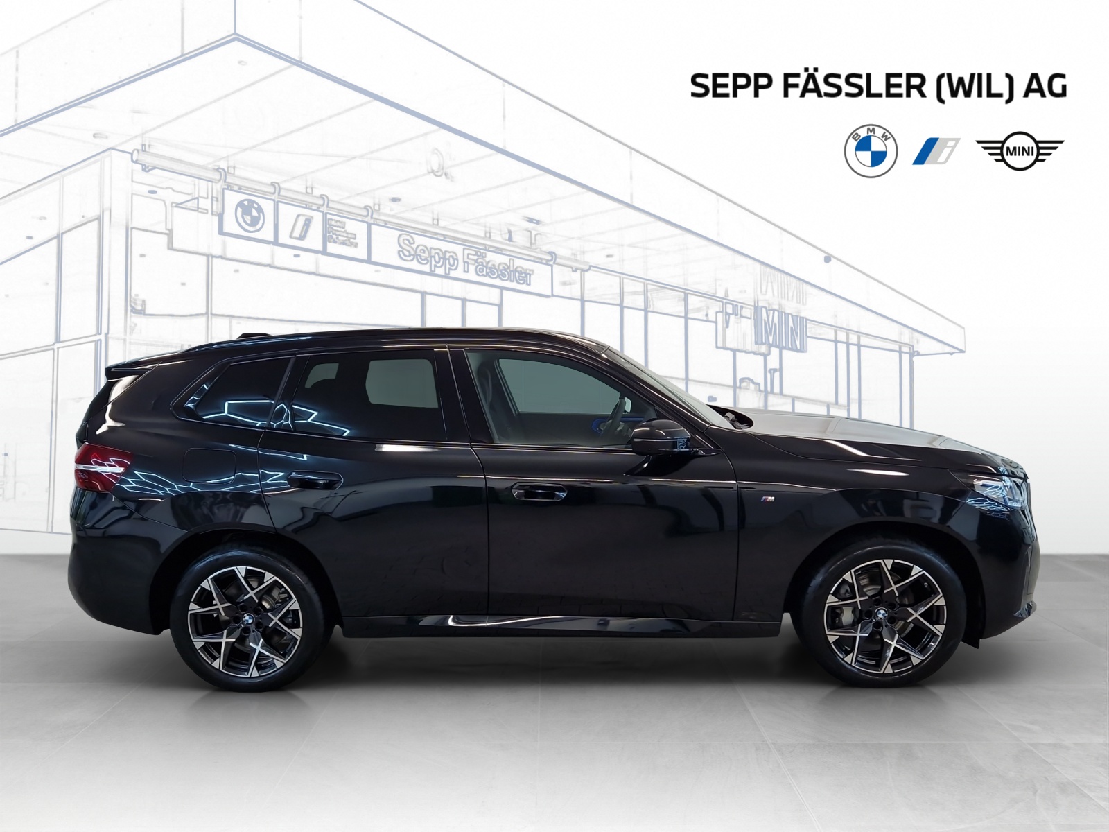 BMW X3 xDrive 48V 40d M Sport-image-20