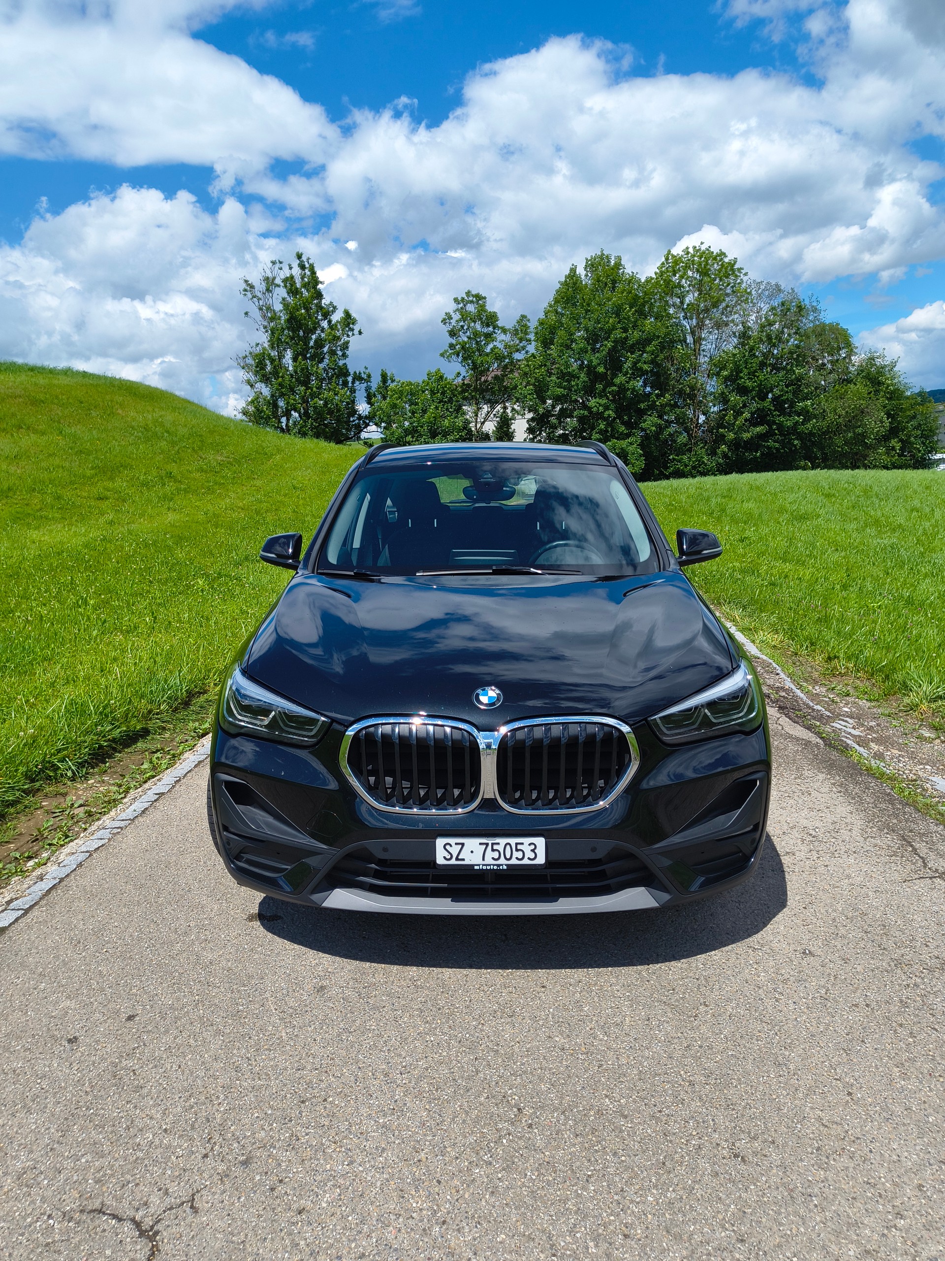 BMW 25e xDrive-image-1