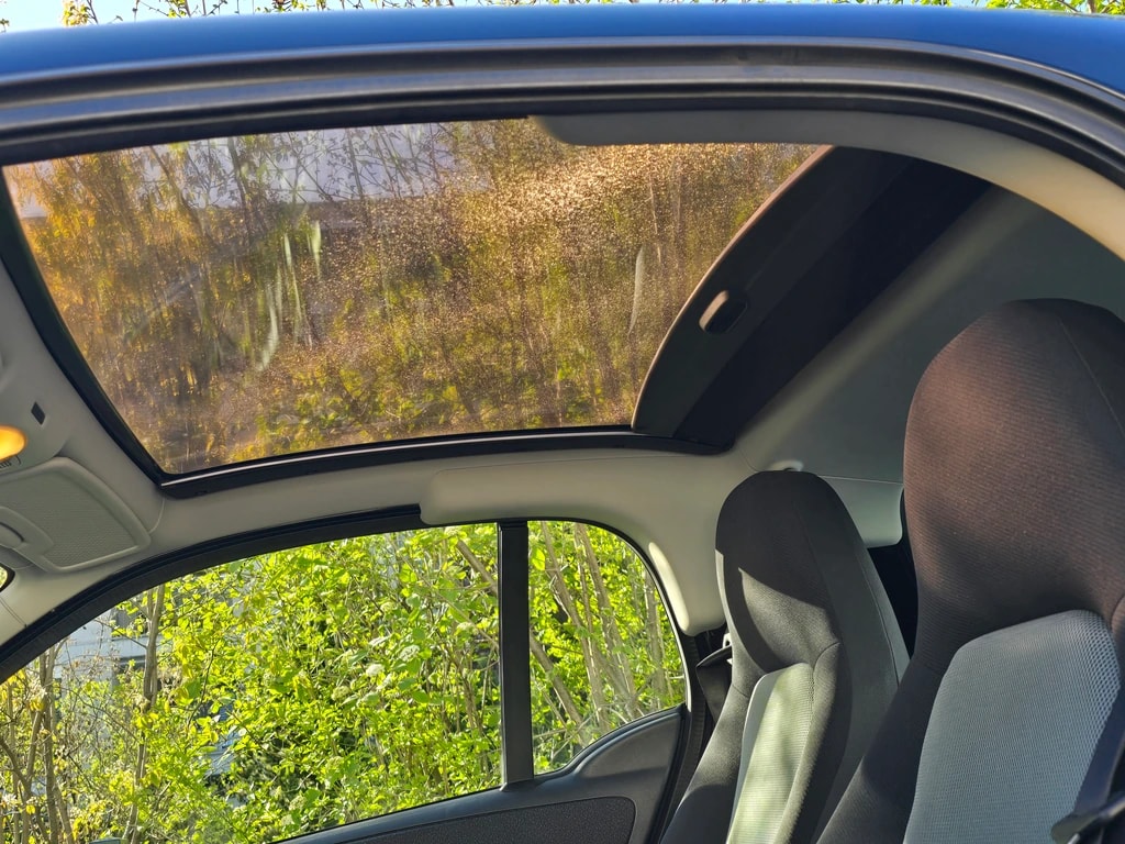 SMART fortwo pulse softip-image-11