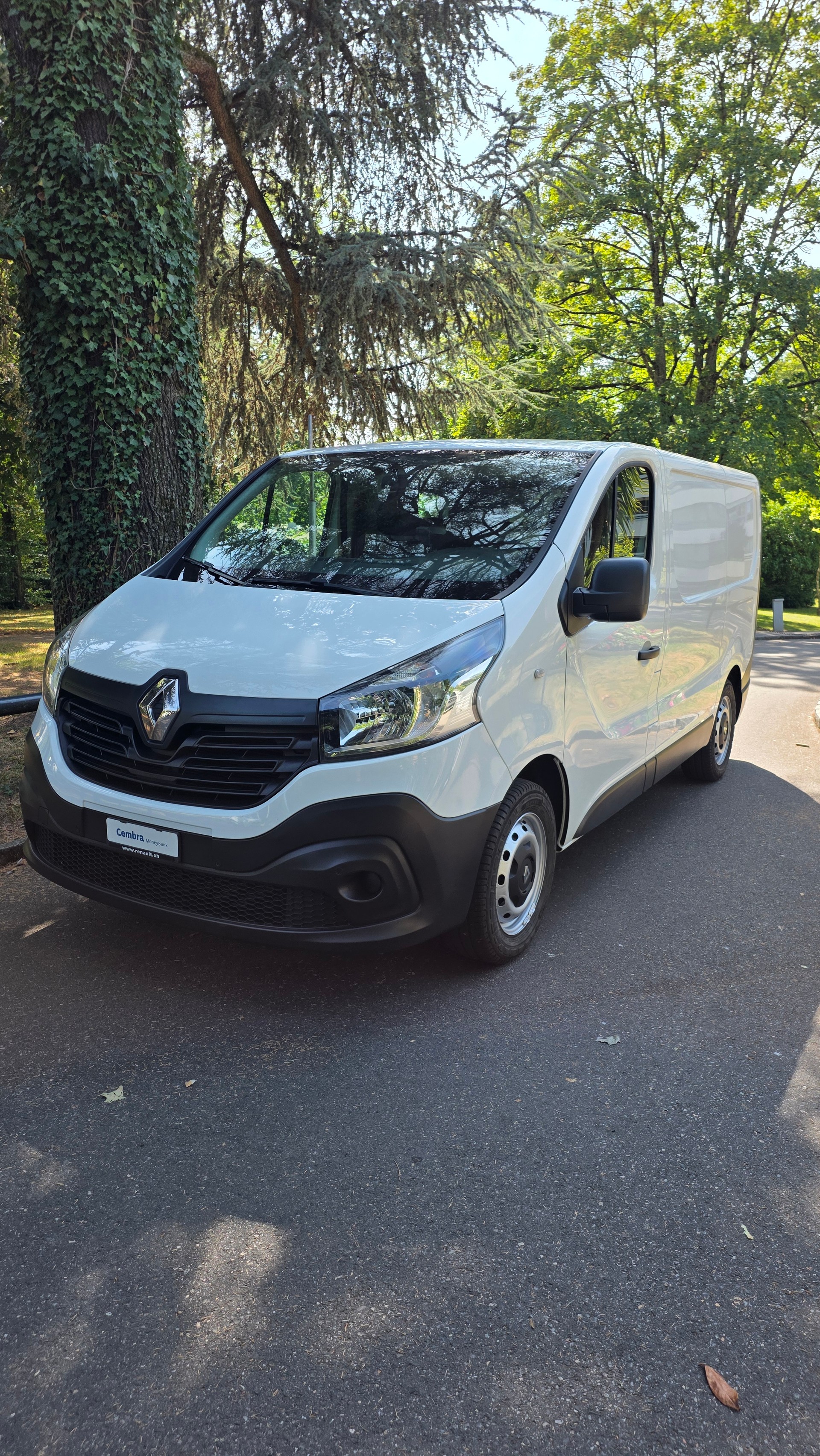 RENAULT Trafic 1.6 dCi 120 2.9t Acces L1H1-image-6