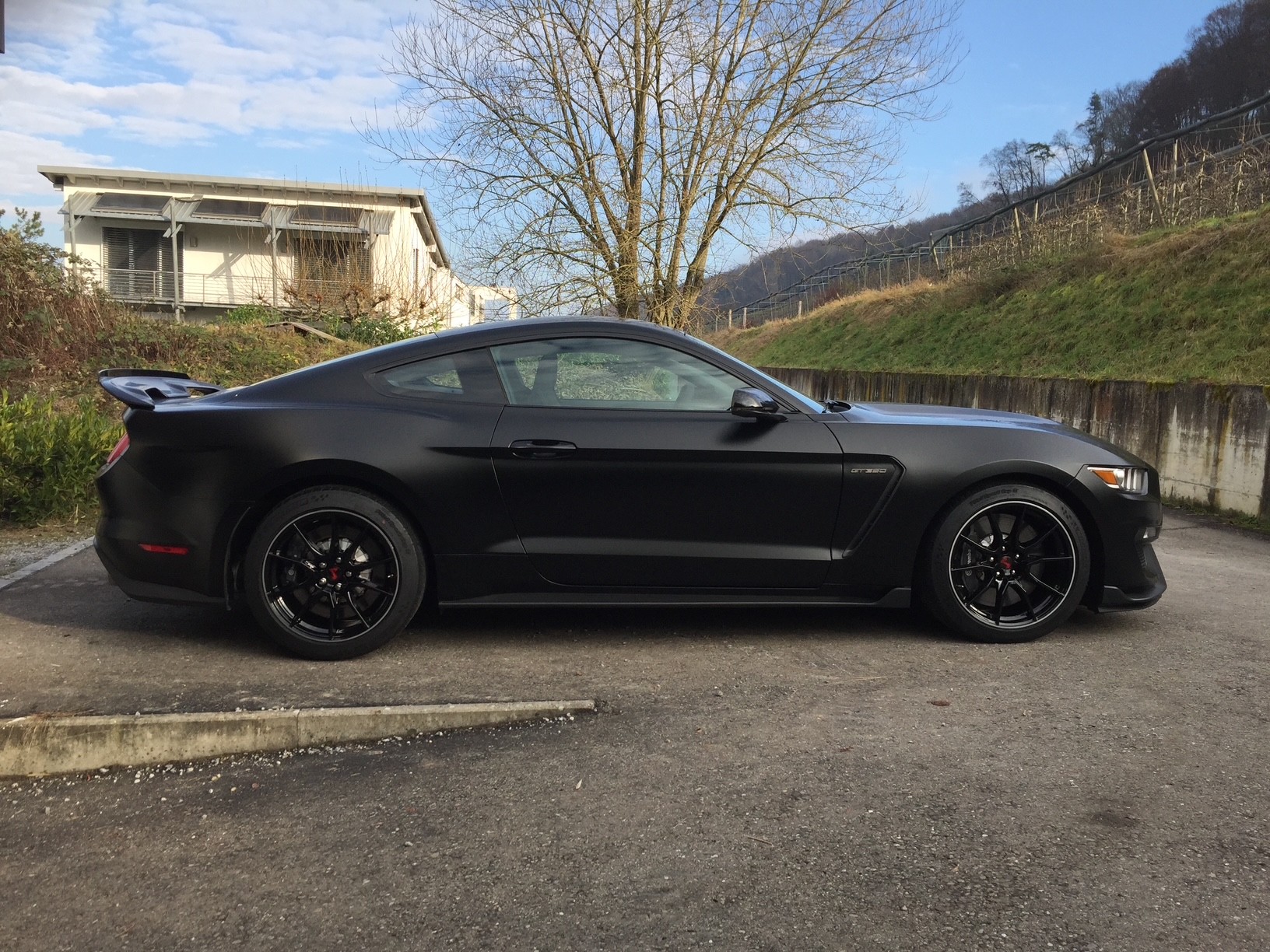 FORD Shelby GT350 | Track + Technology Pack | Recaro | Matt PPF Foliert-image-4