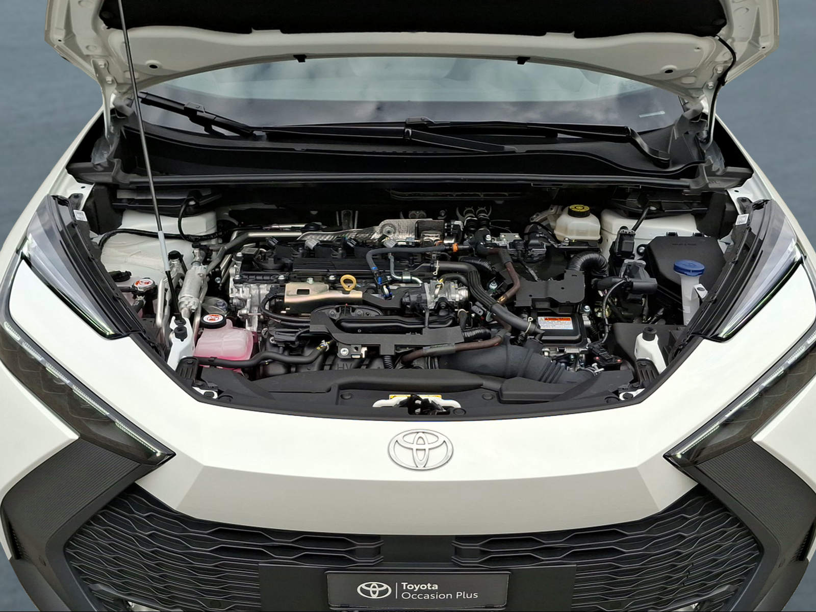 TOYOTA C-HR 2.0 PHEV CVT Swiss Edition-image-13