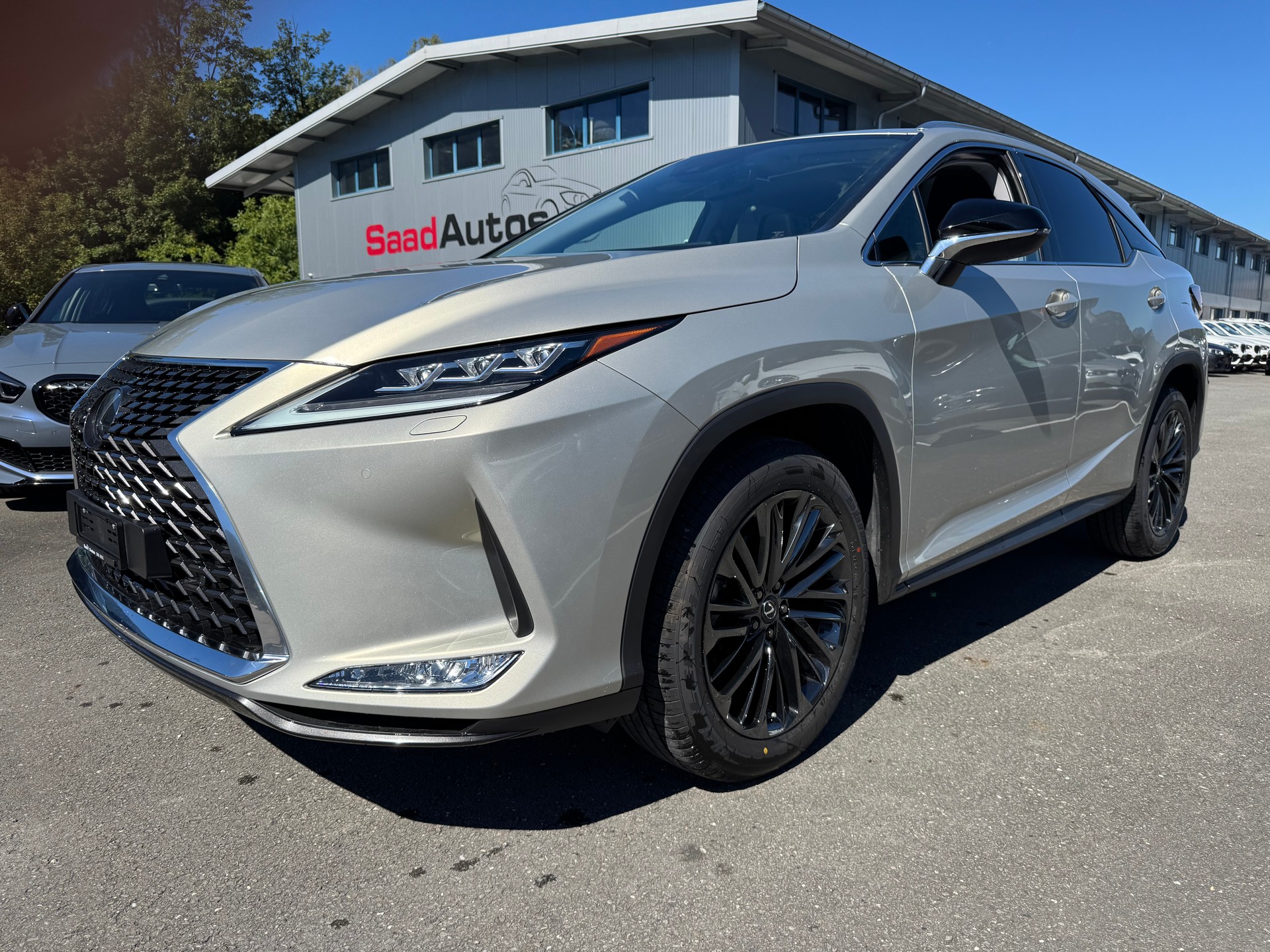 LEXUS RX 300 Special Edition AWD-image-0
