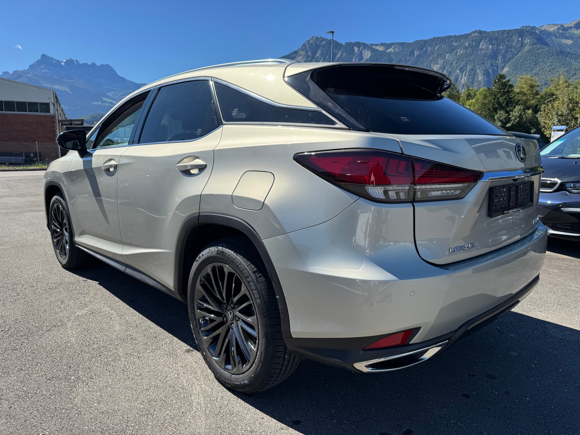 LEXUS RX 300 Special Edition AWD-image-5
