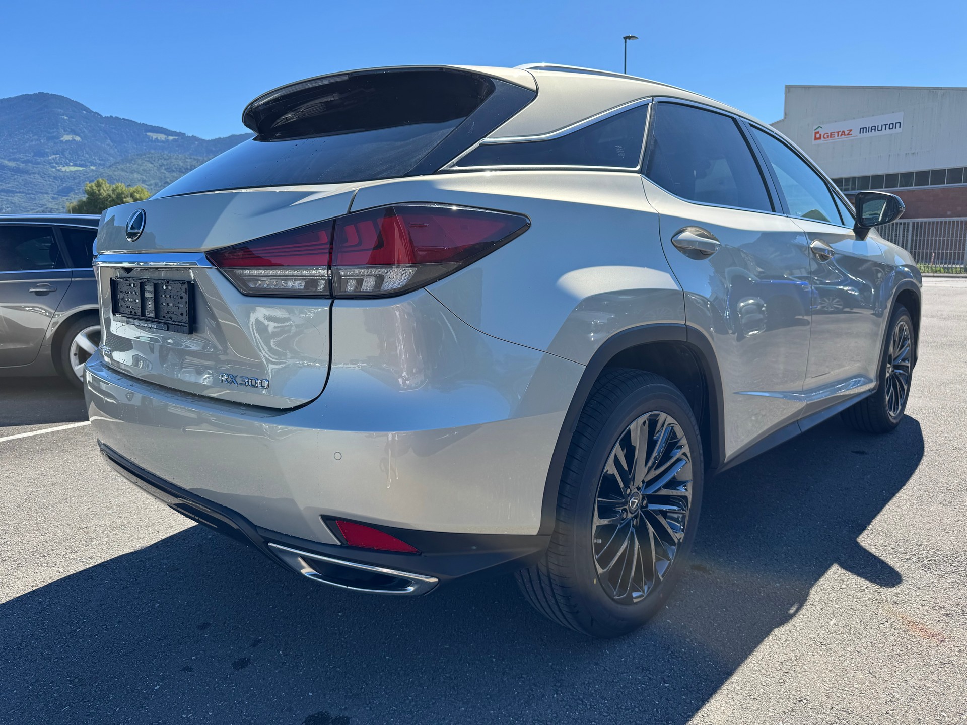 LEXUS RX 300 Special Edition AWD-image-3