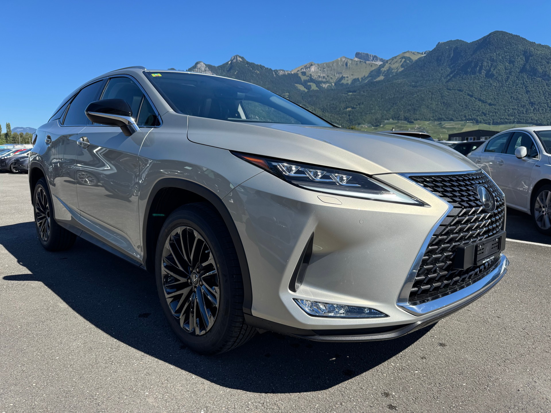 LEXUS RX 300 Special Edition AWD-image-2