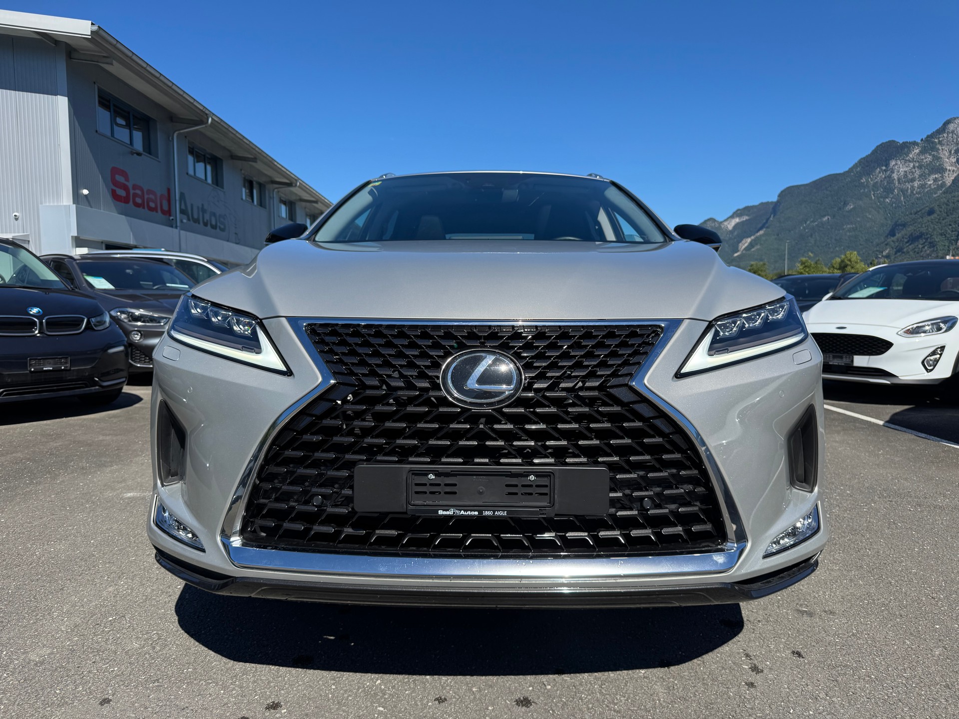 LEXUS RX 300 Special Edition AWD-image-1